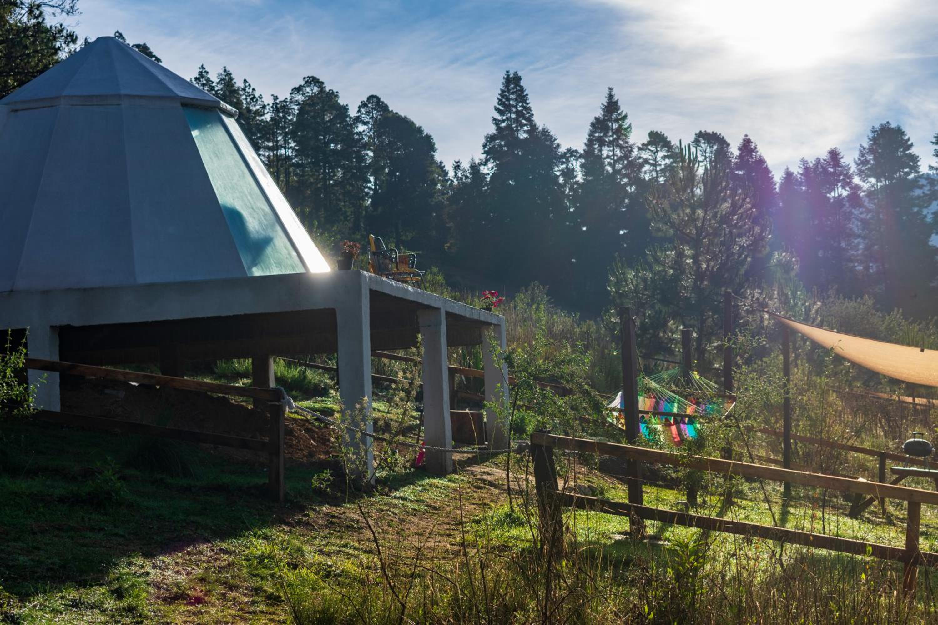 Glamping With Forest View photo 3