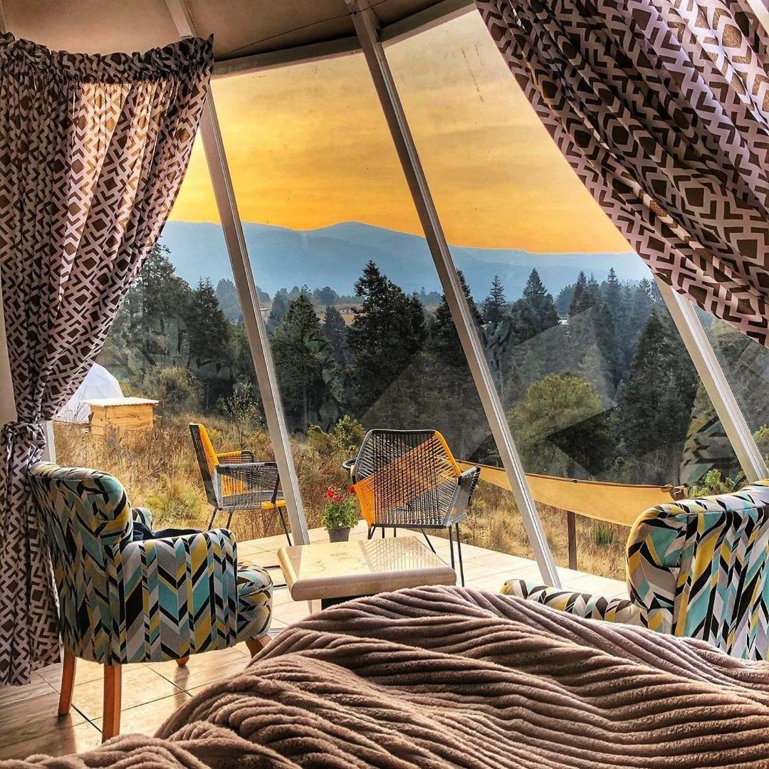 Glamping With Forest View photo 2