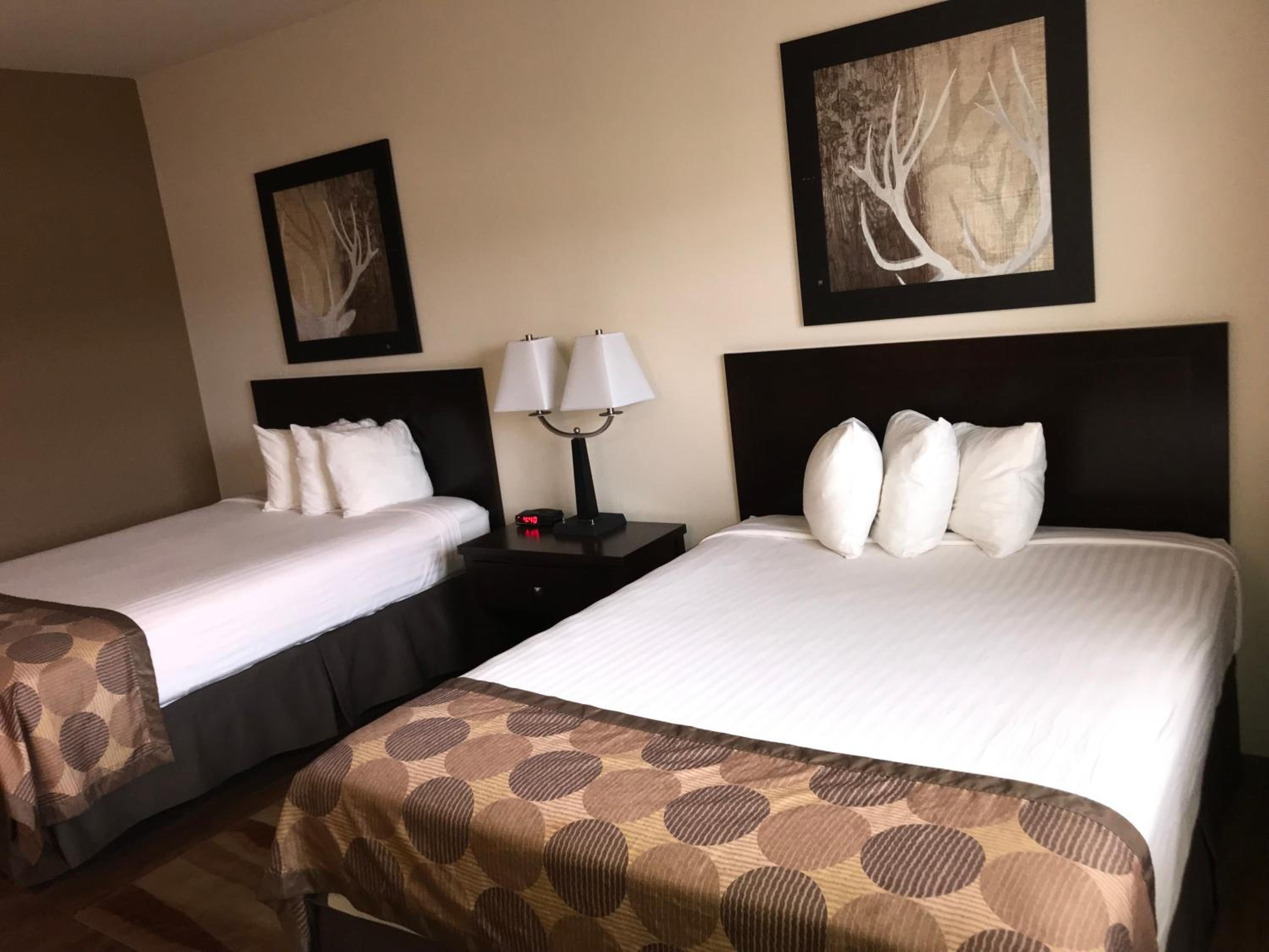 Queen Room photo 1