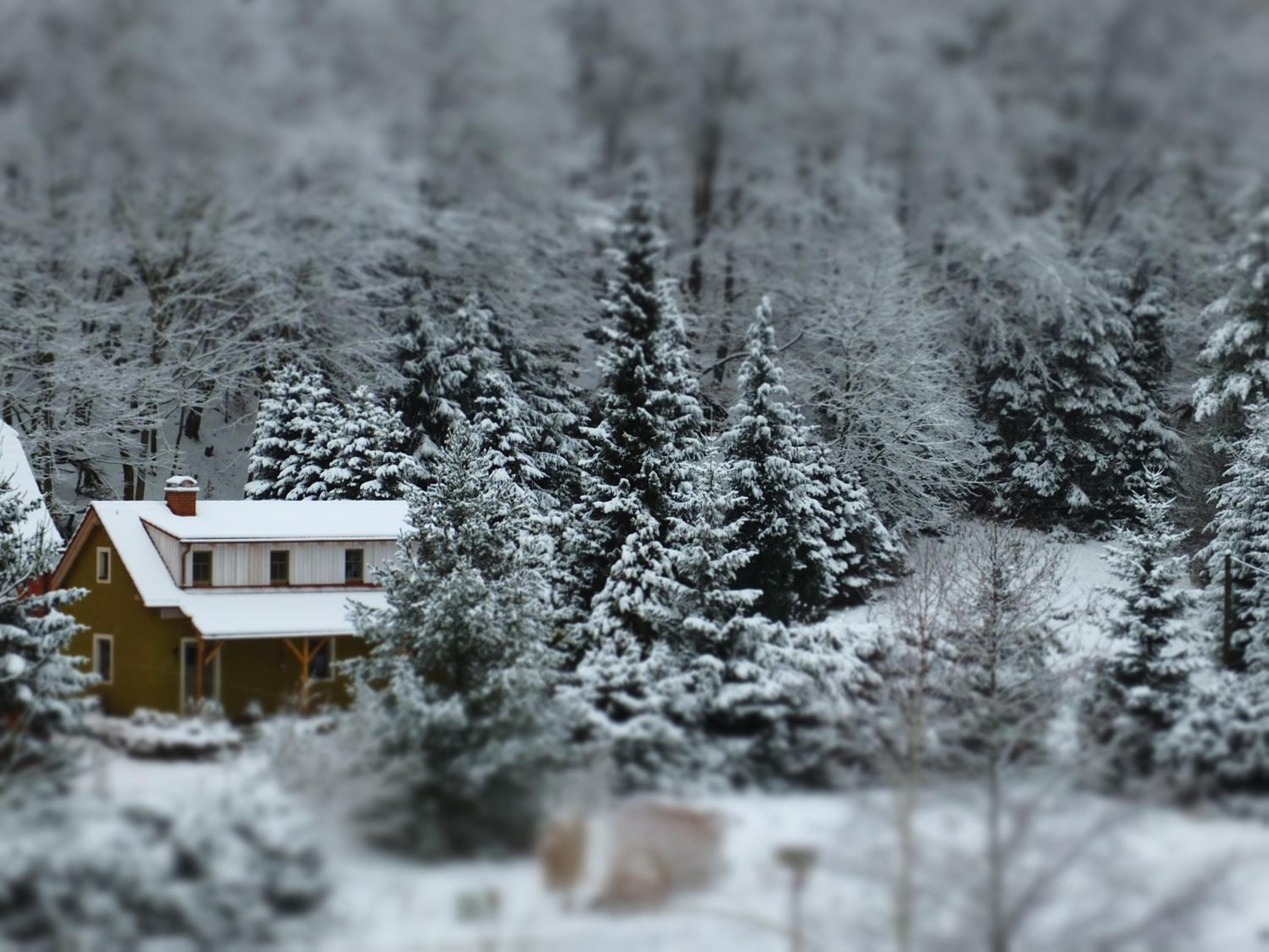 Vacation Home photo 3