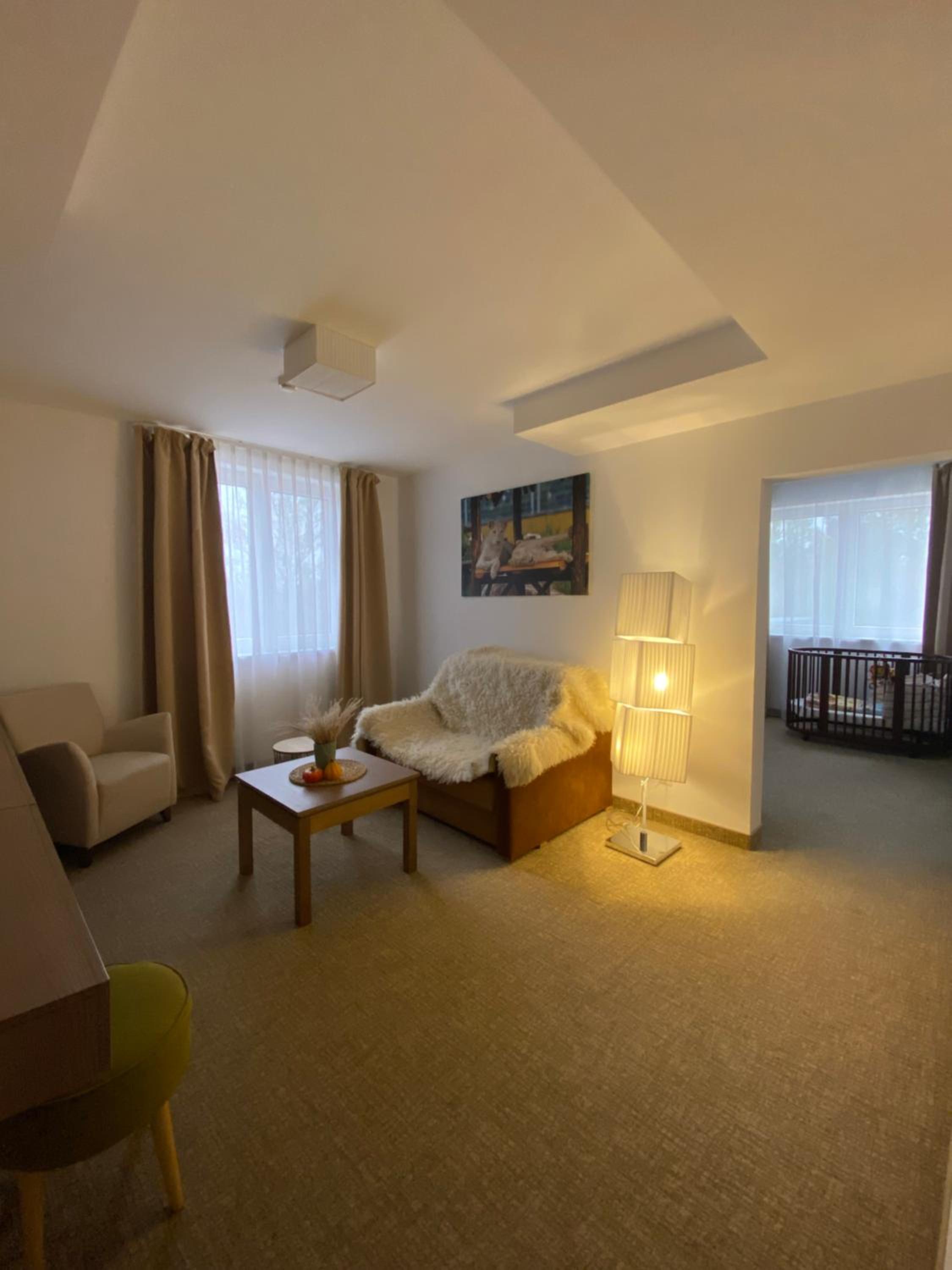 One-Bedroom Apartment - Photo 7