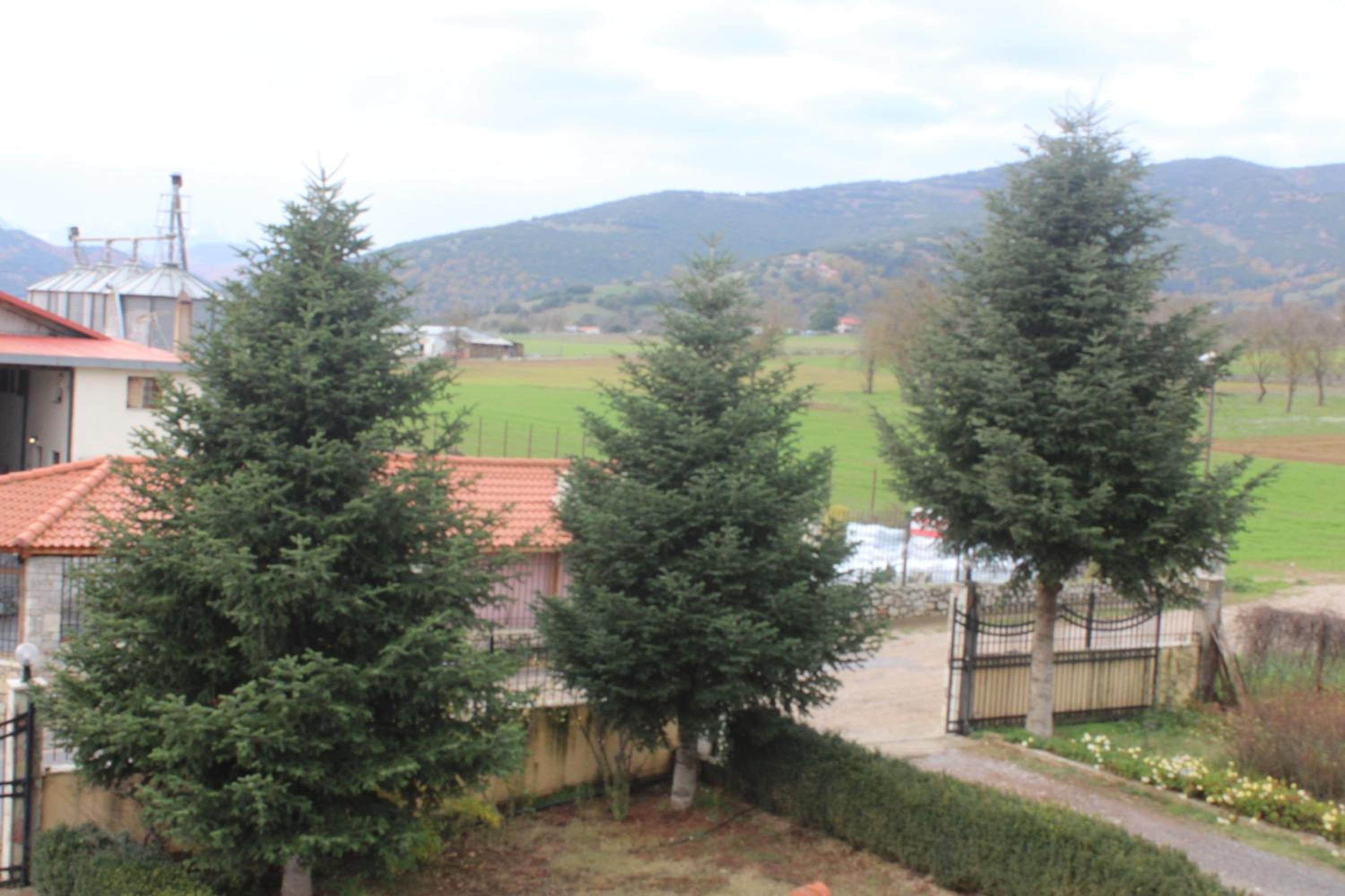 Triple Room with View