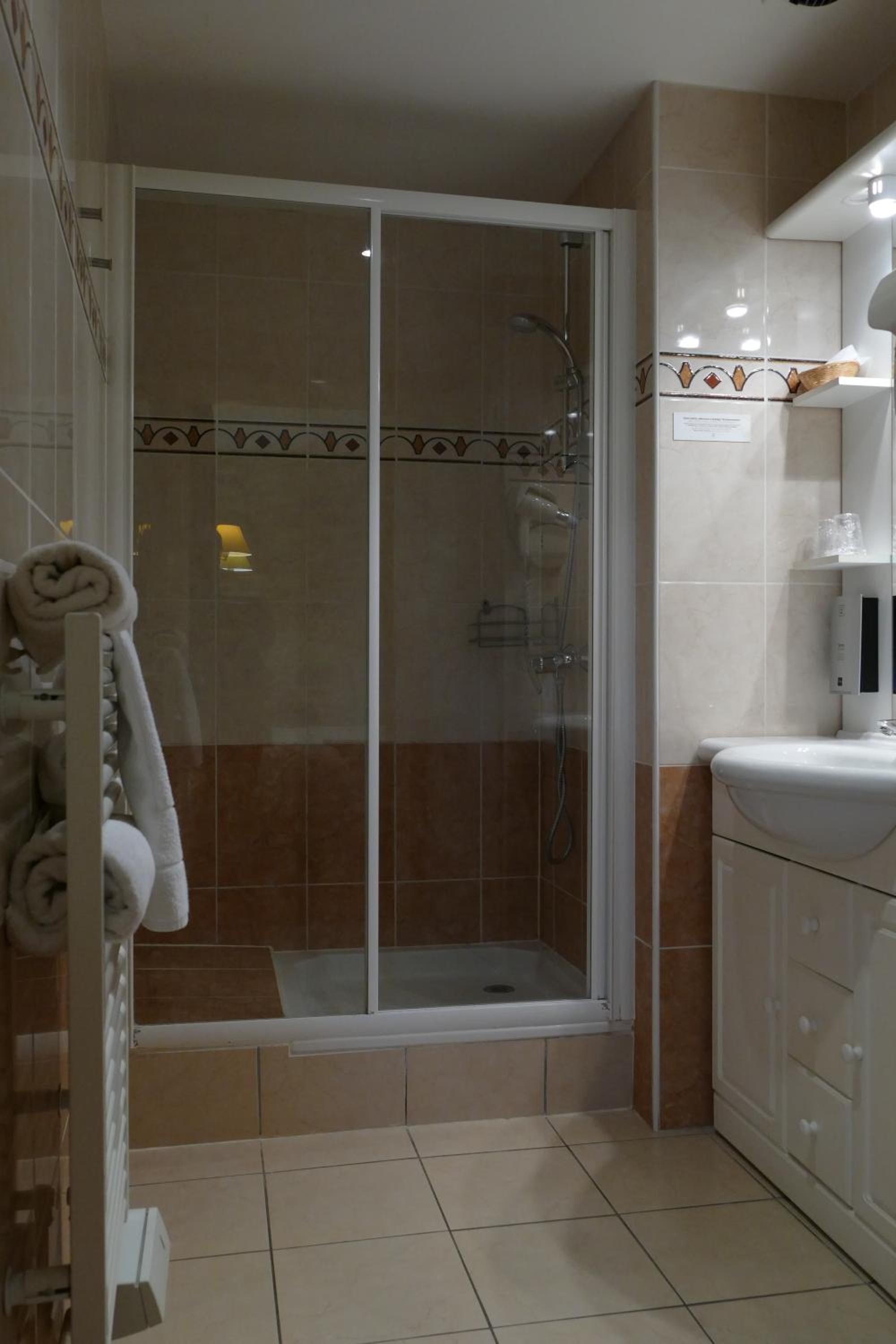 Standard Double Room - Shower photo 2