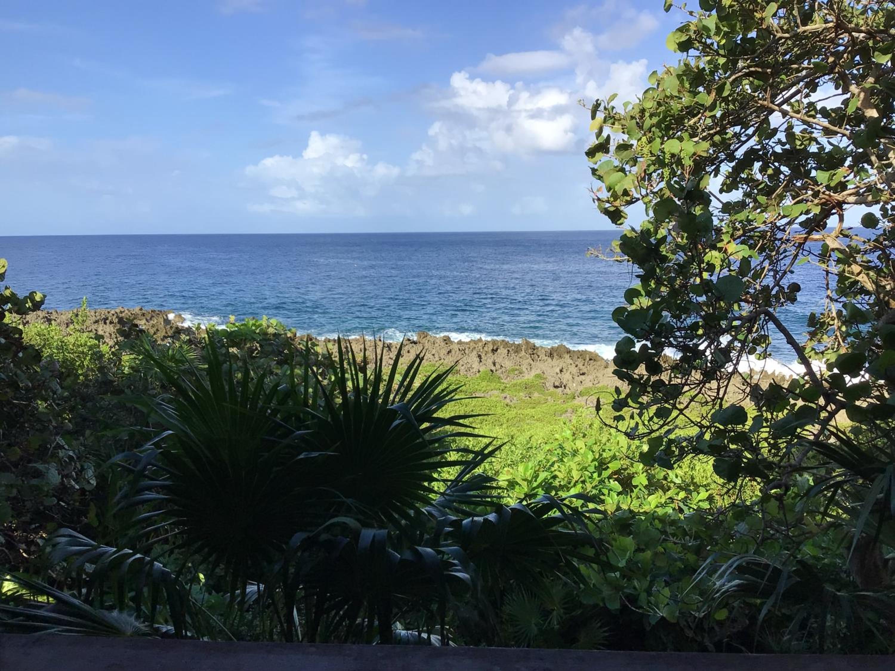 Studio with Ocean View photo 2