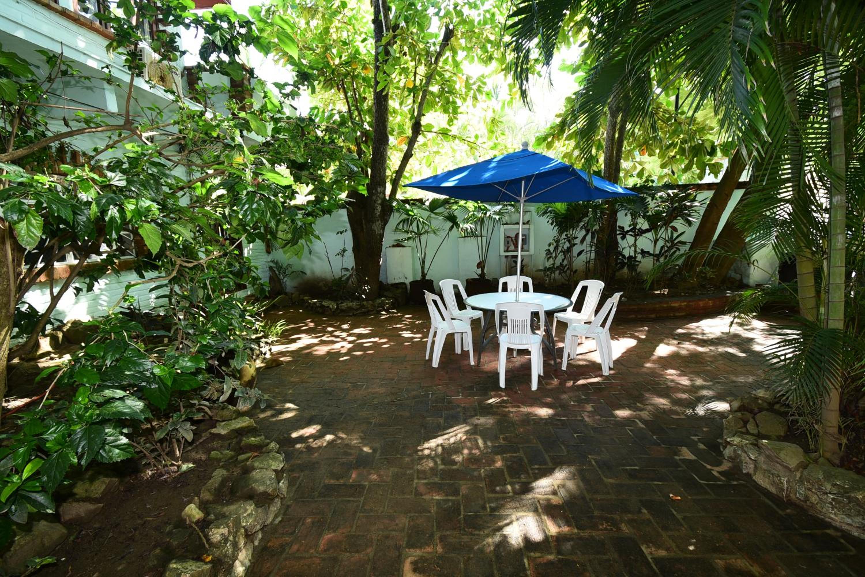 Studio with Garden View photo 2