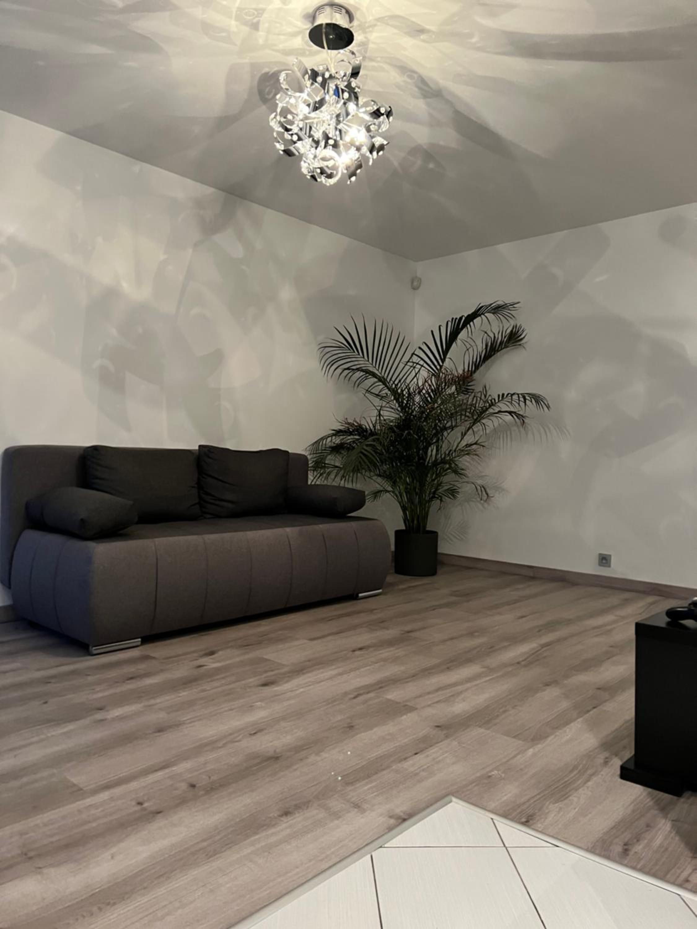 One-Bedroom Apartment photo 3