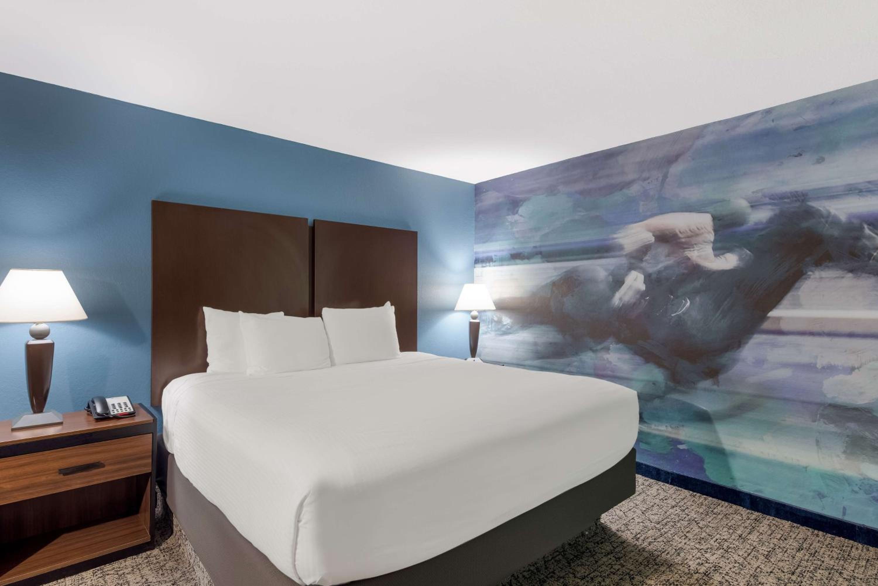 King Room - Disability Access photo 2