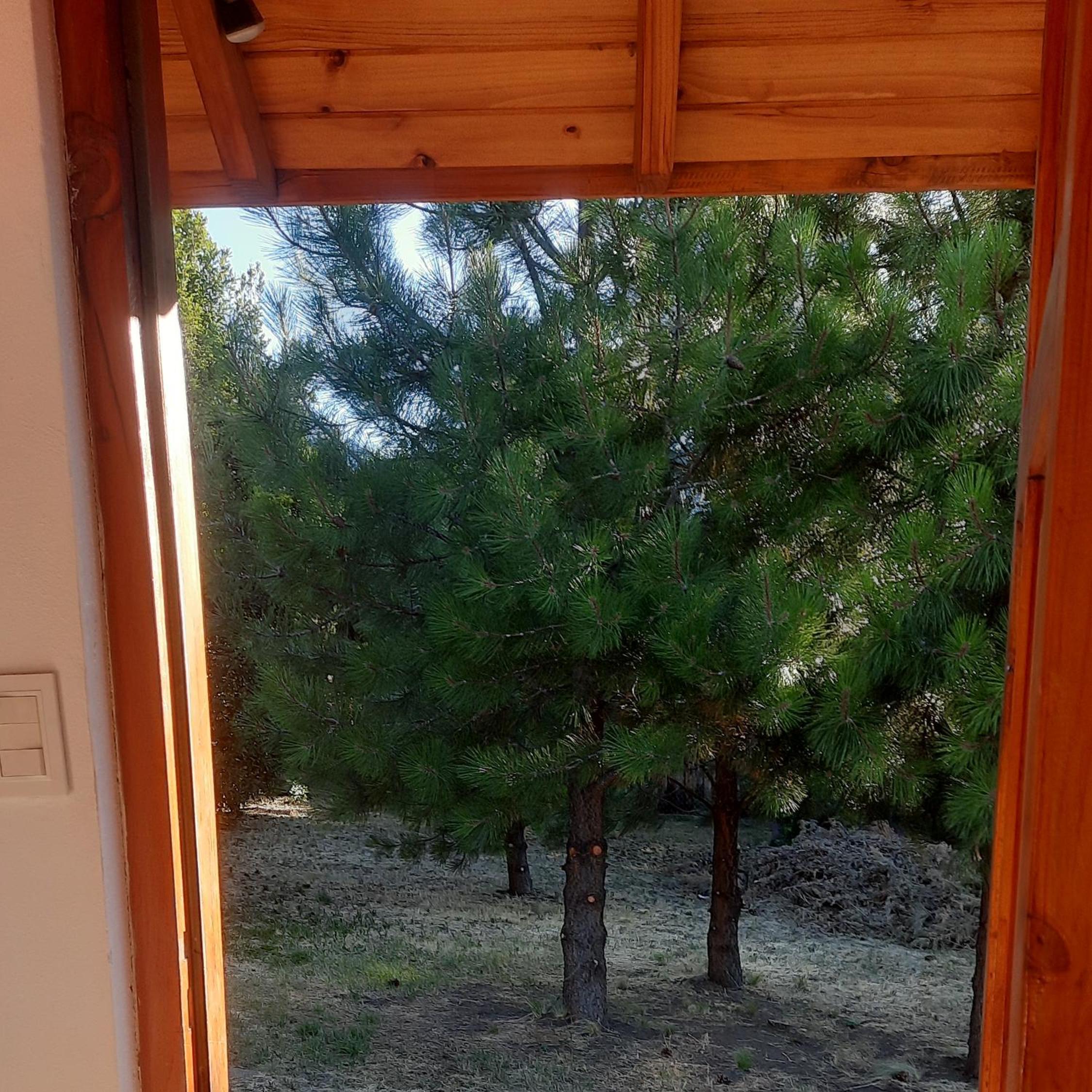 One-Bedroom House photo 2