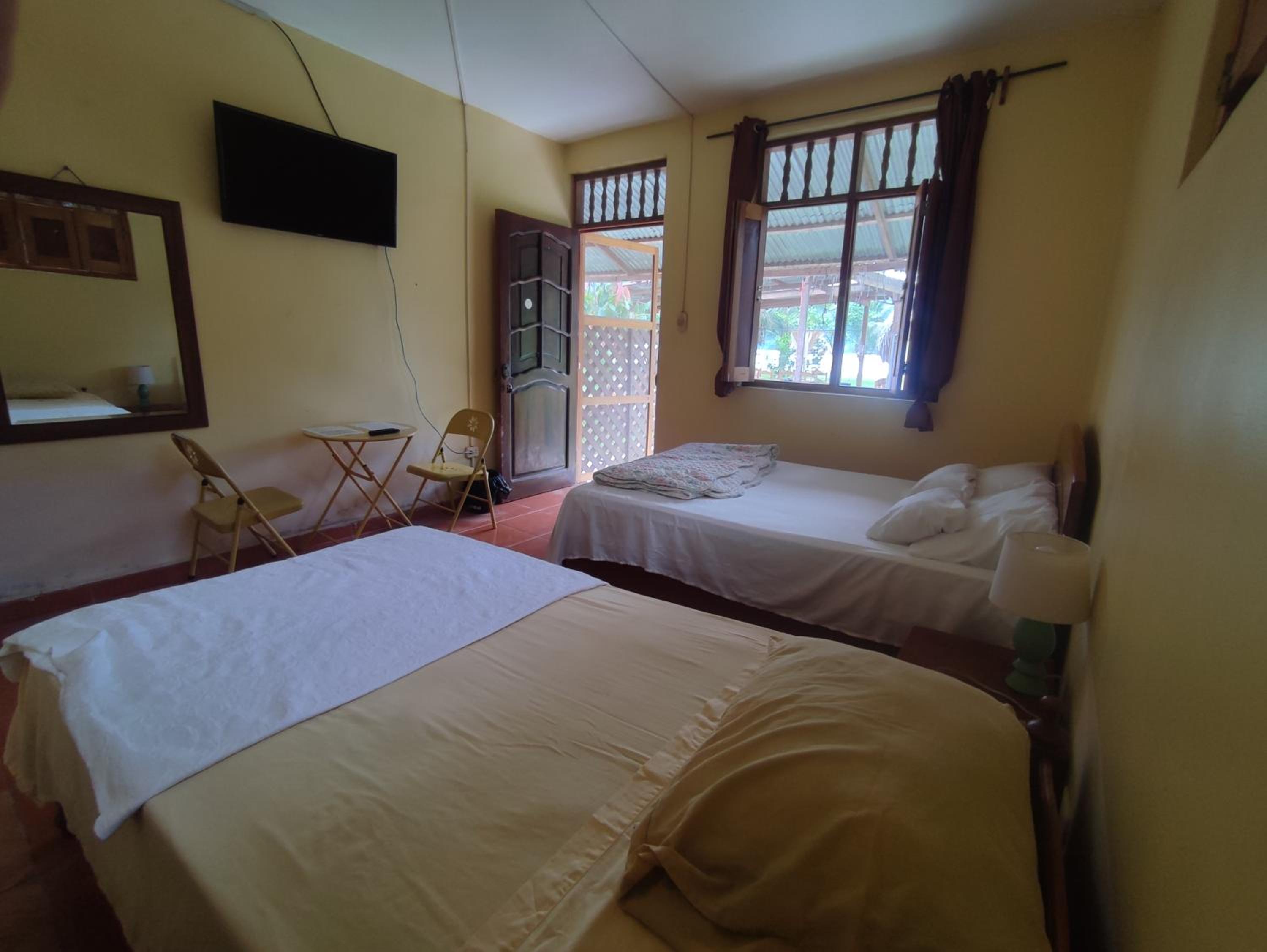 Twin Room photo 1