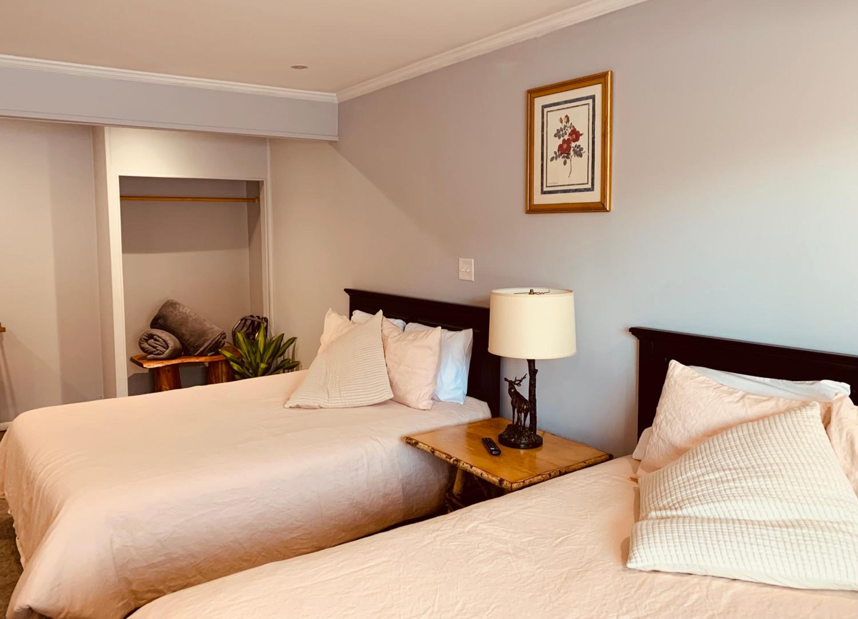 Deluxe Double Room photo 1