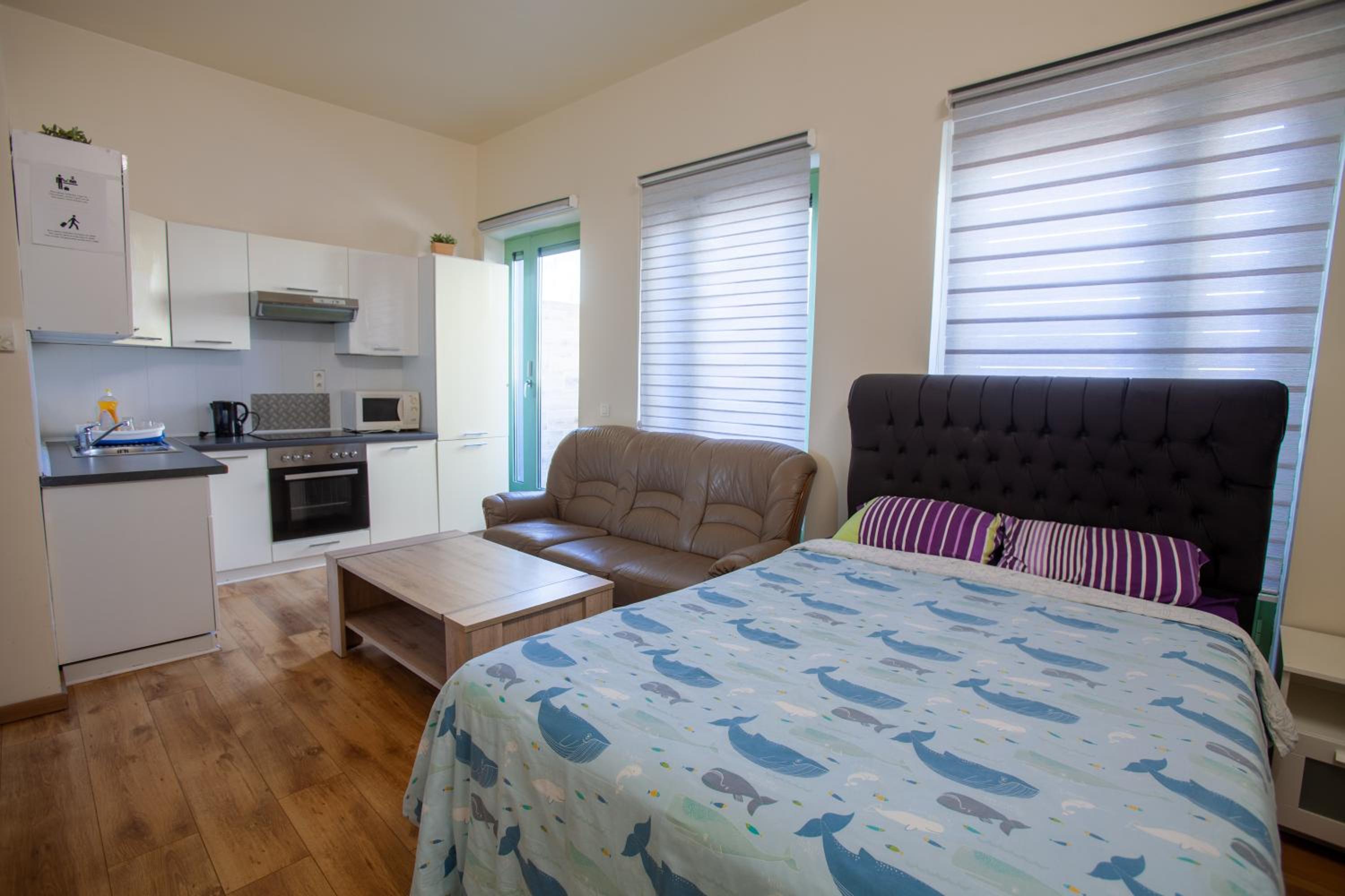 One-Bedroom Apartment - Photo 1