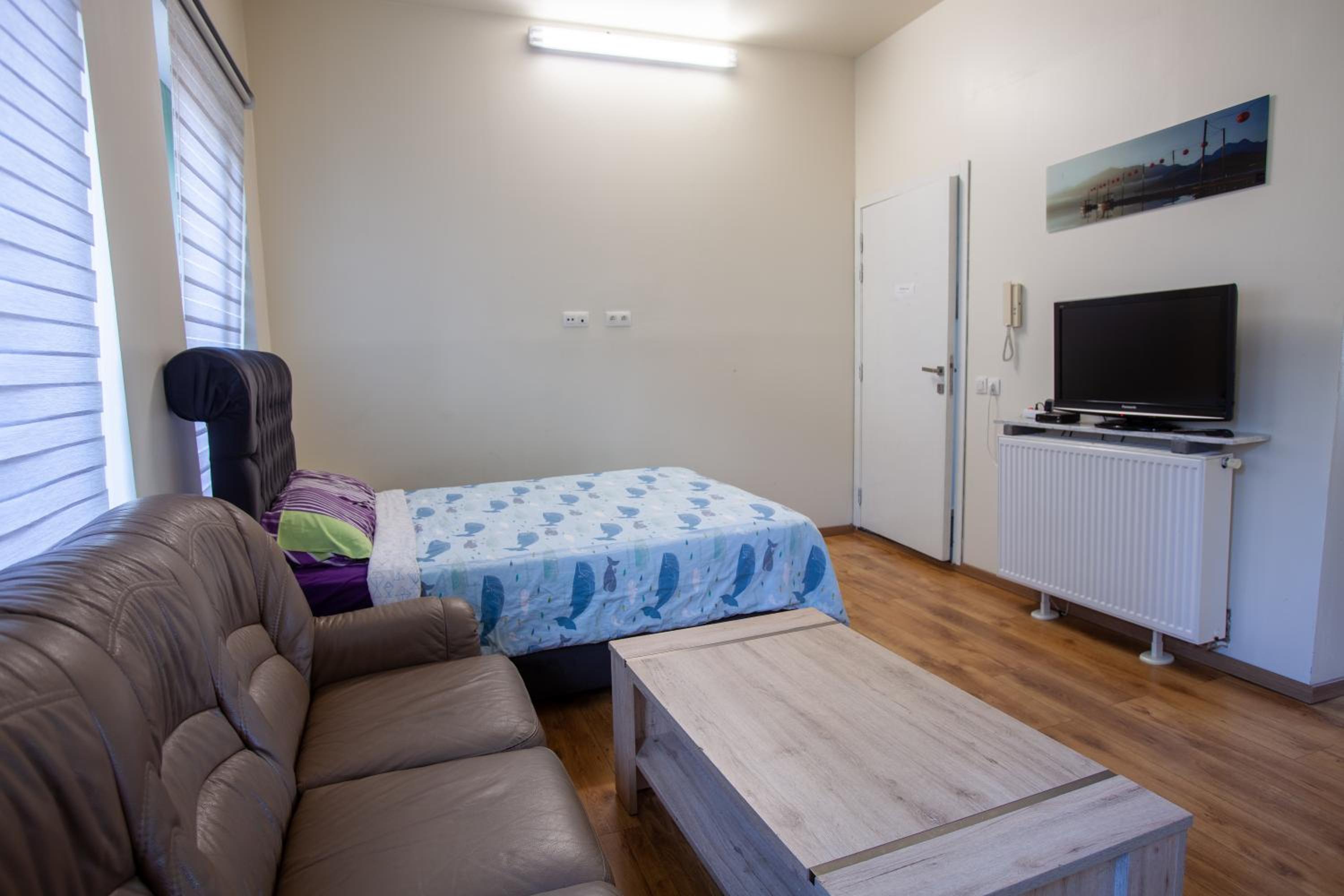 One-Bedroom Apartment - Photo 5