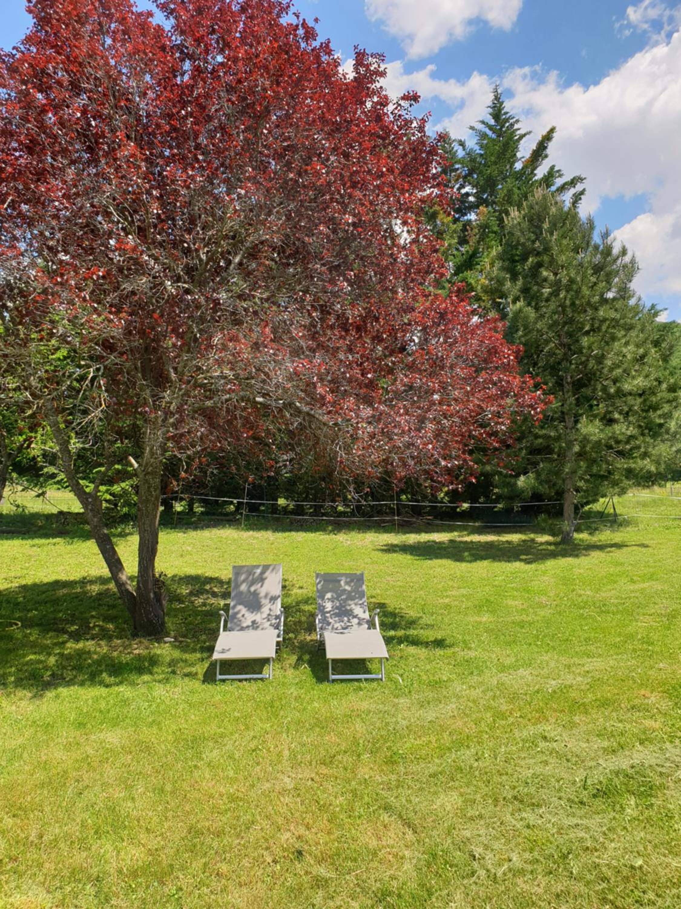 Double Room with Garden View - Photo 14
