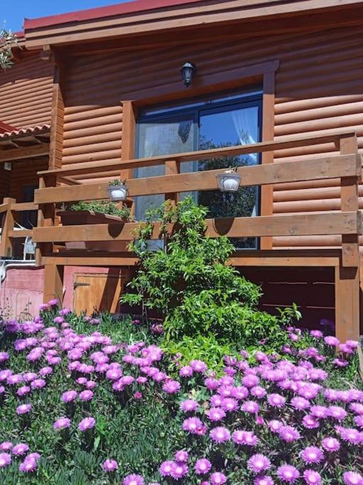 Vacation Home photo 2