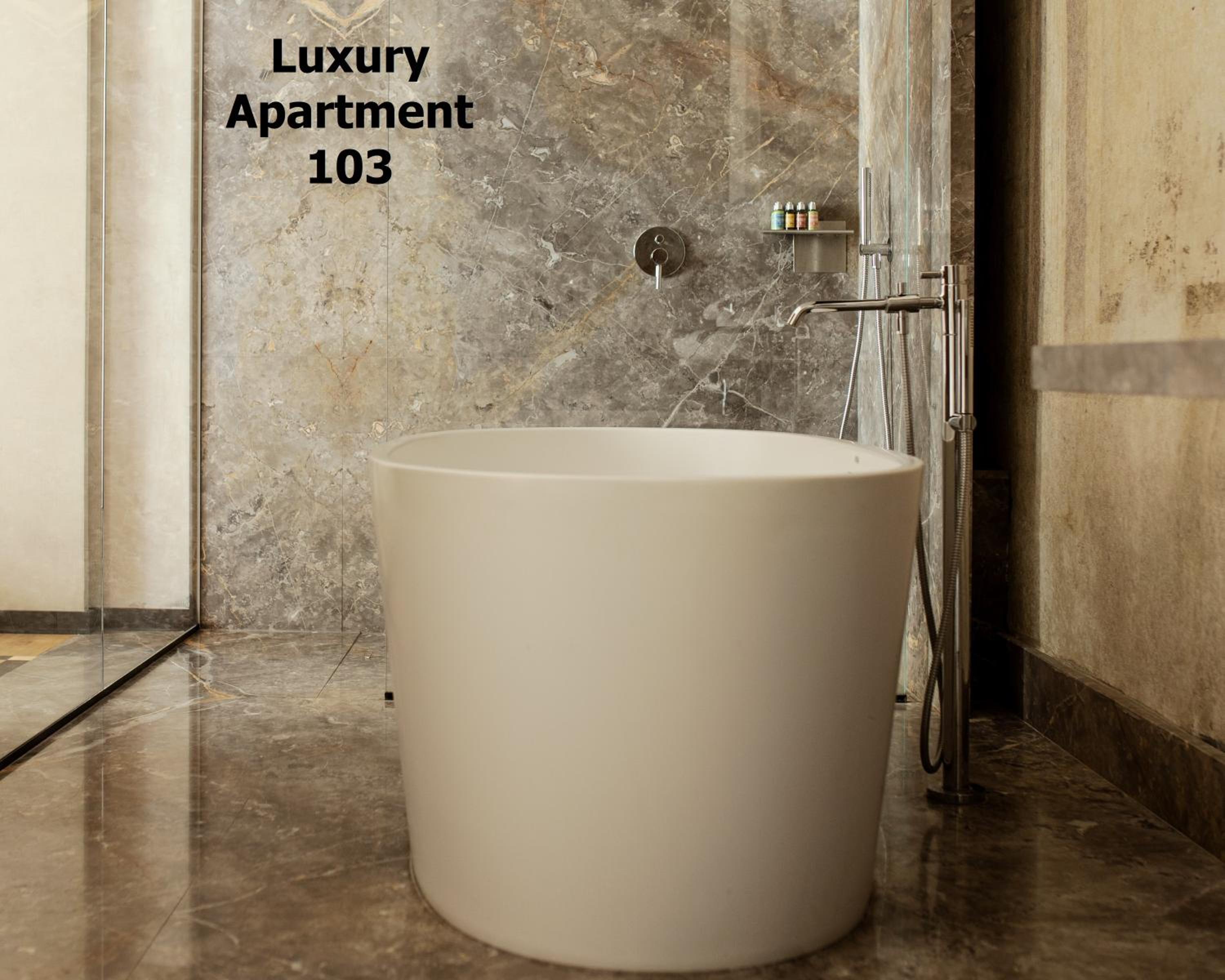 Luxury Apartment photo 2