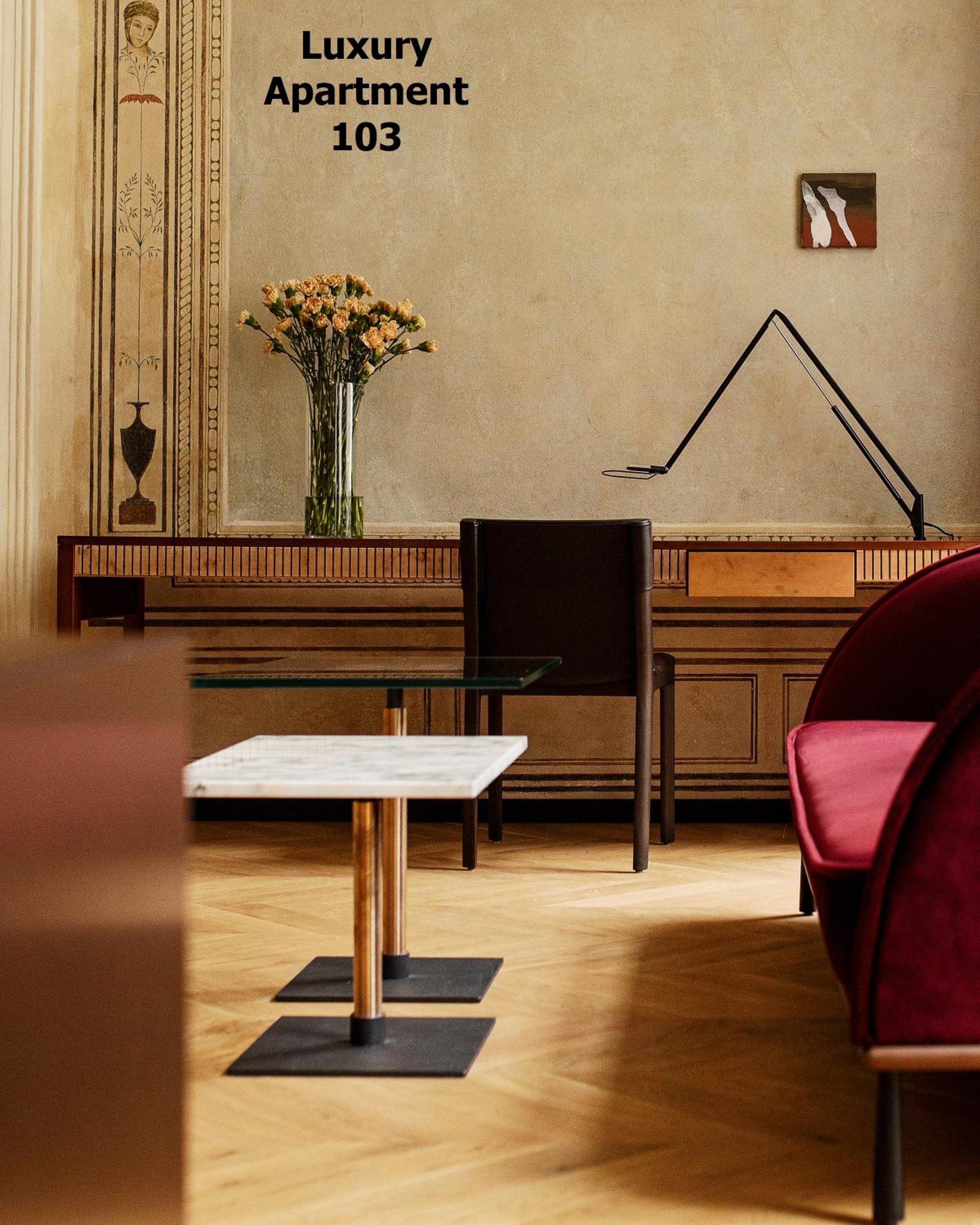 Luxury Apartment photo 3