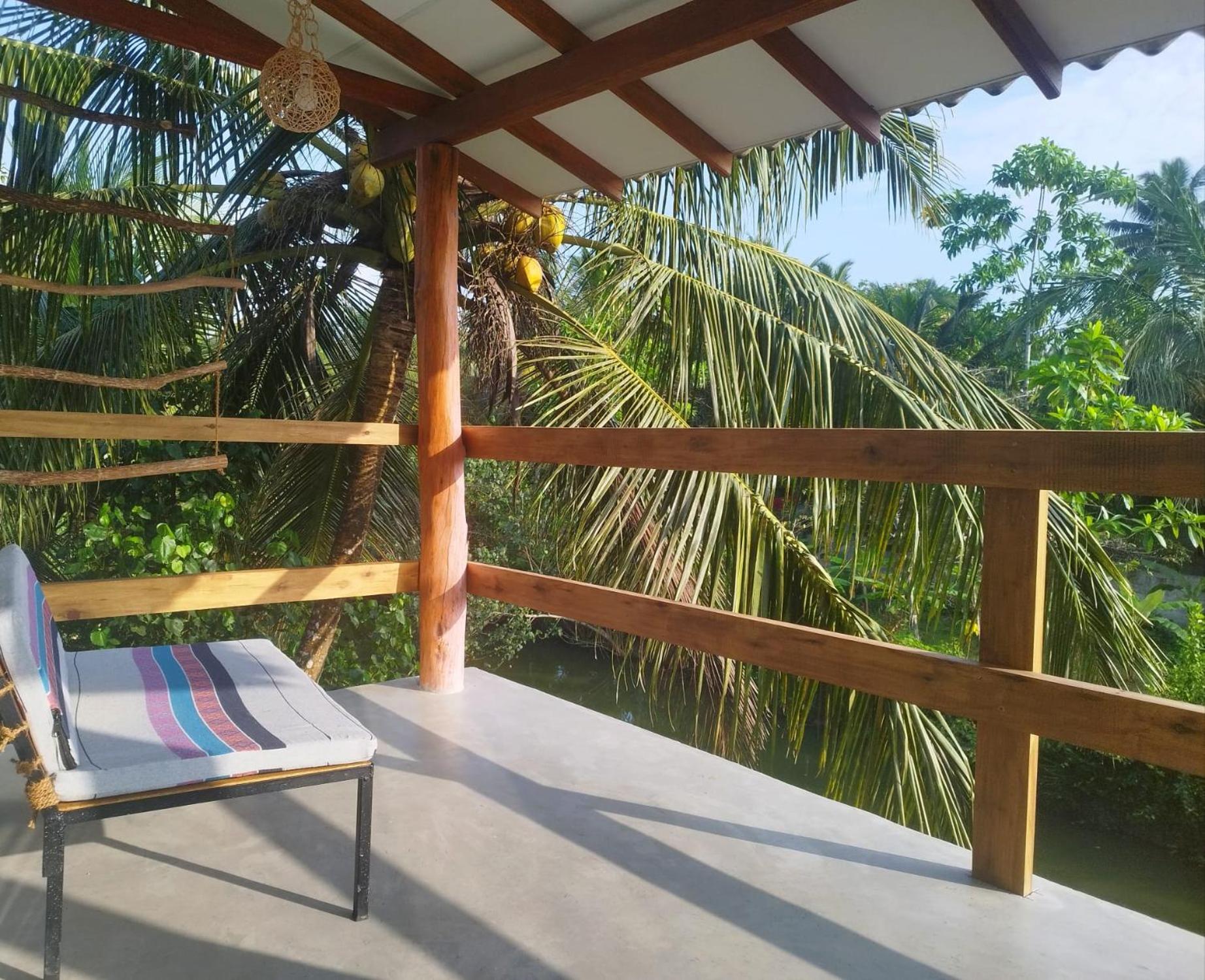Apartment with Terrace photo 3
