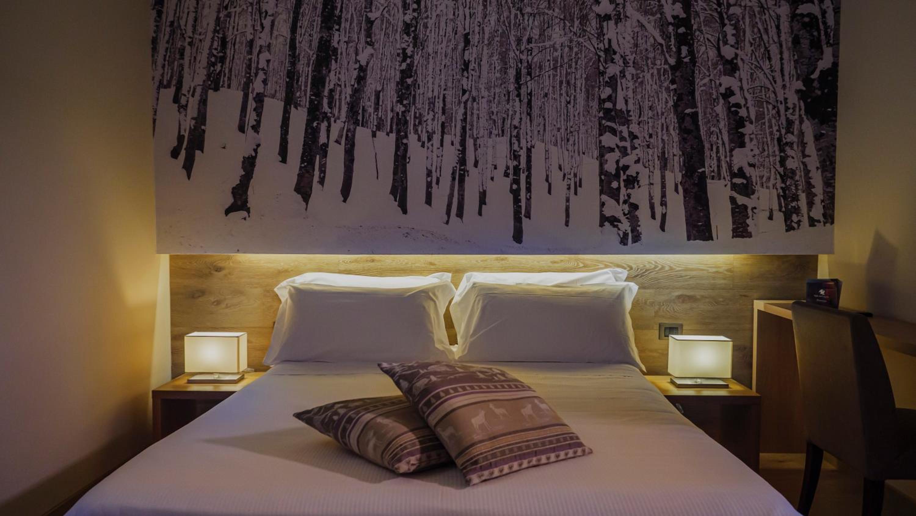 Double or Twin Room photo 2