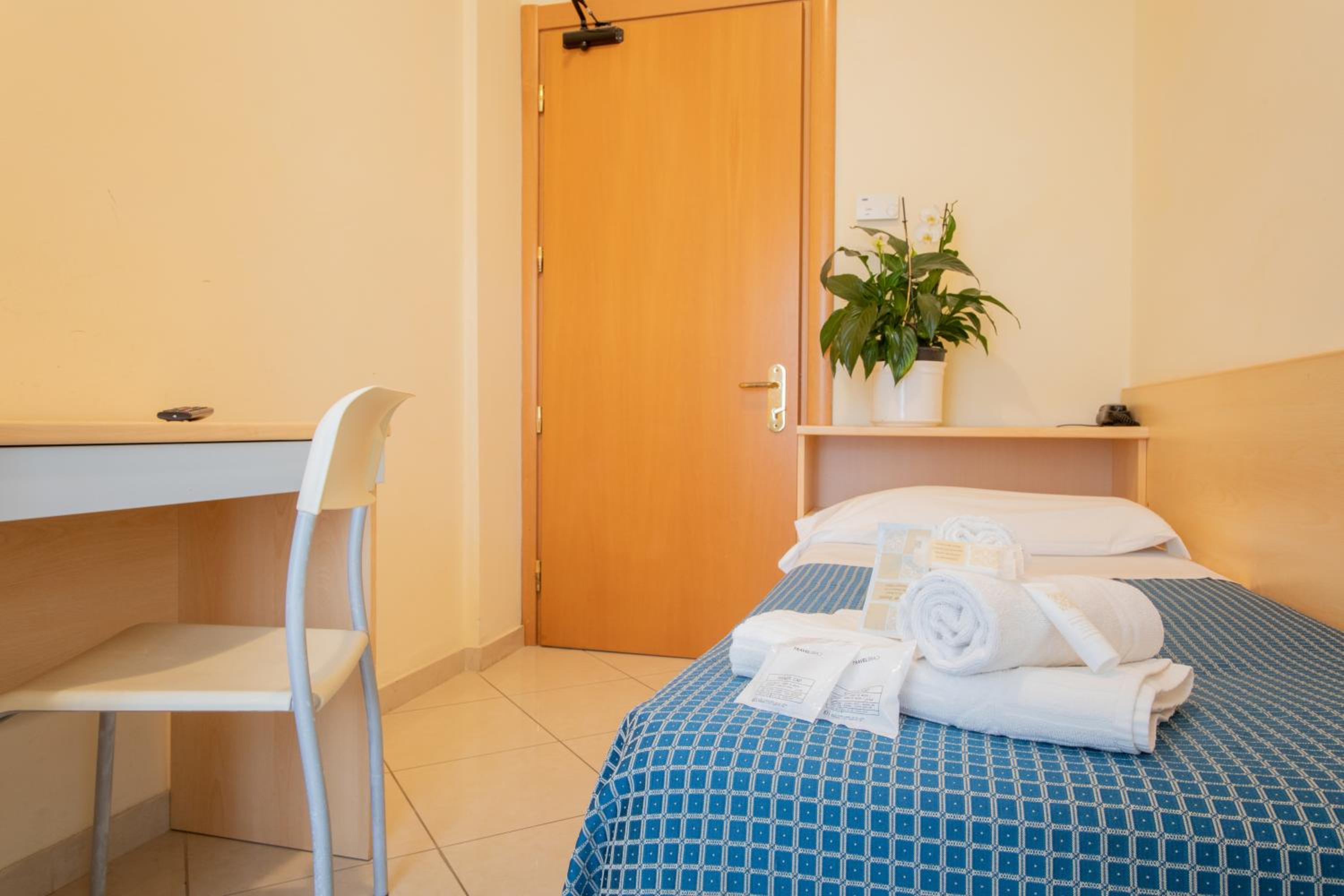 Budget Single Room