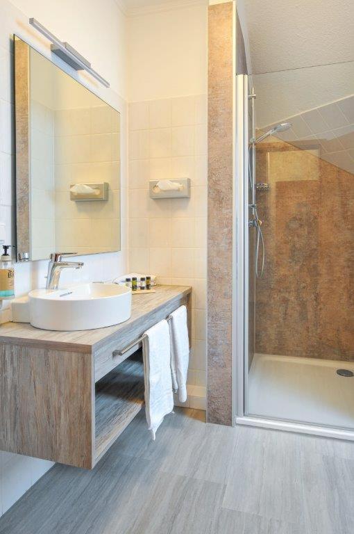 Double or Twin Room photo 3