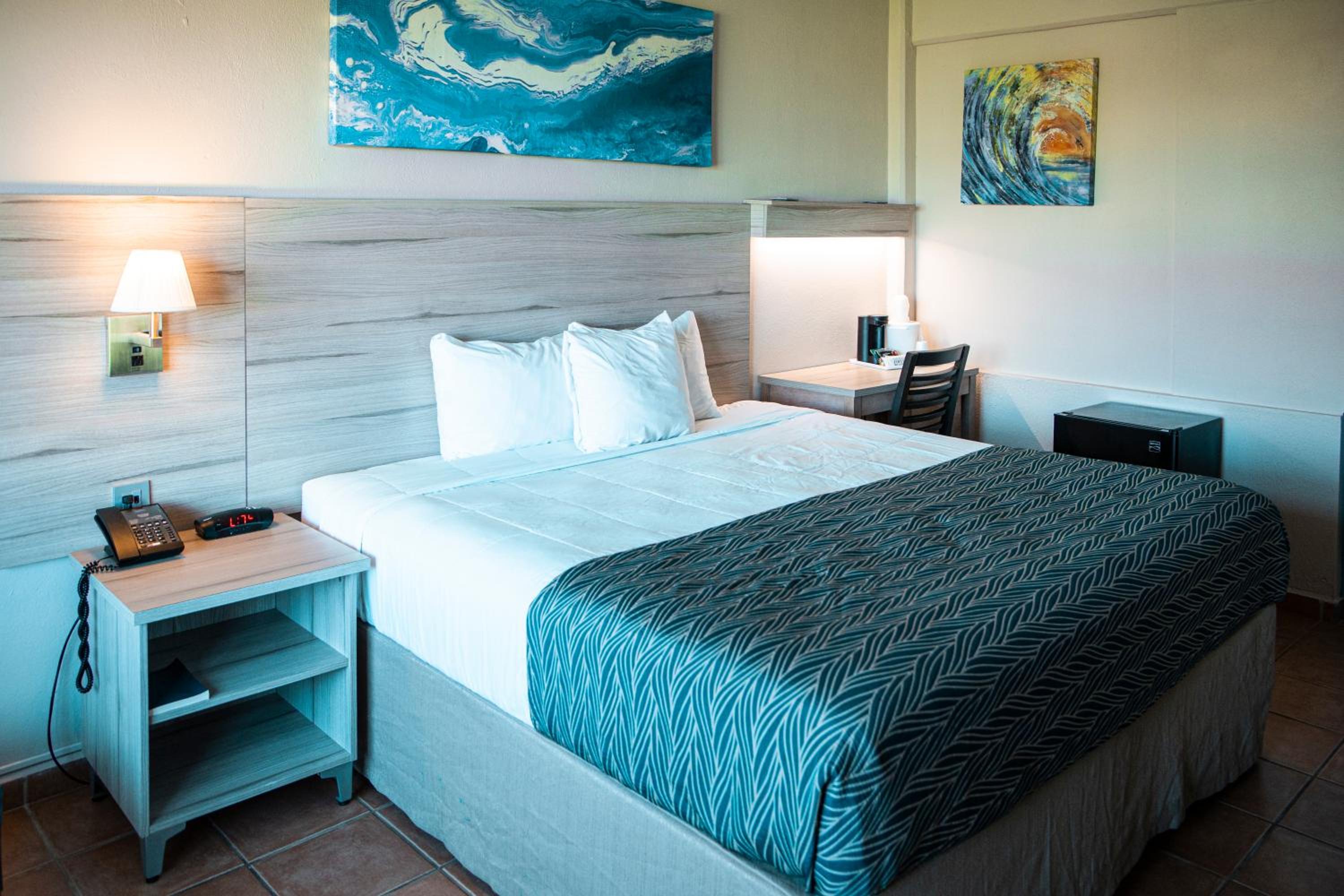 Single King Suite photo 1
