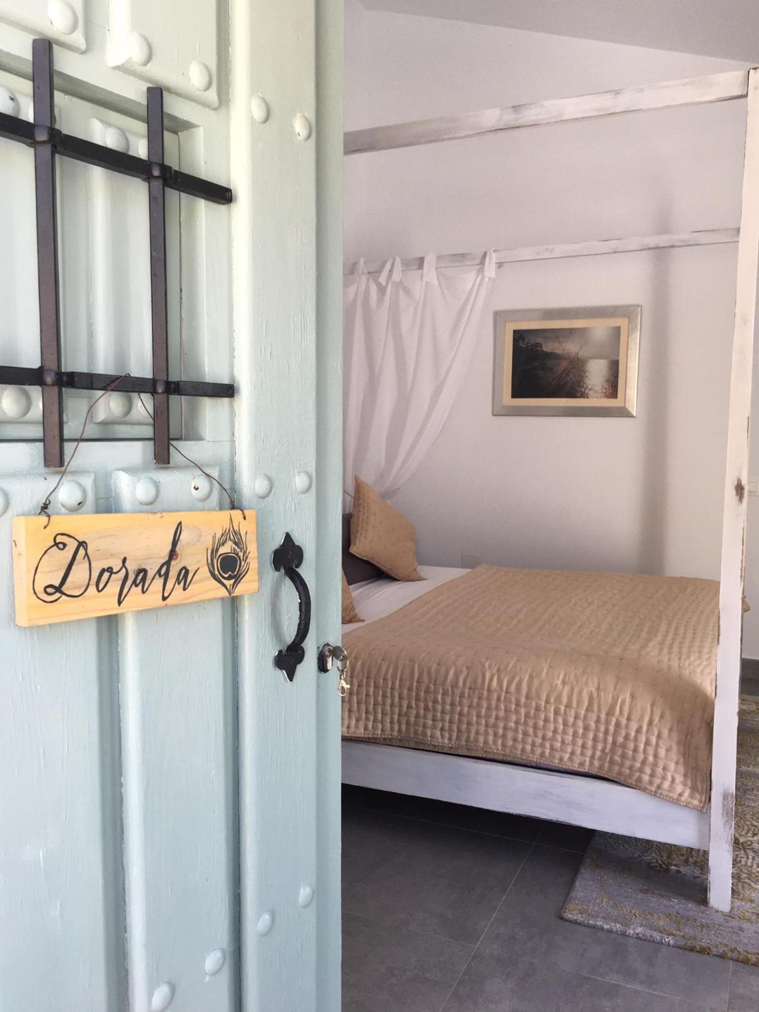 Suite Junior con Terraza