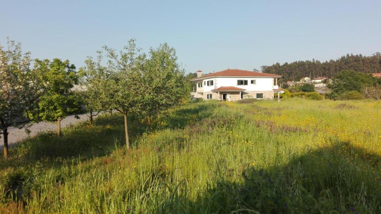 Three-Bedroom House photo 2