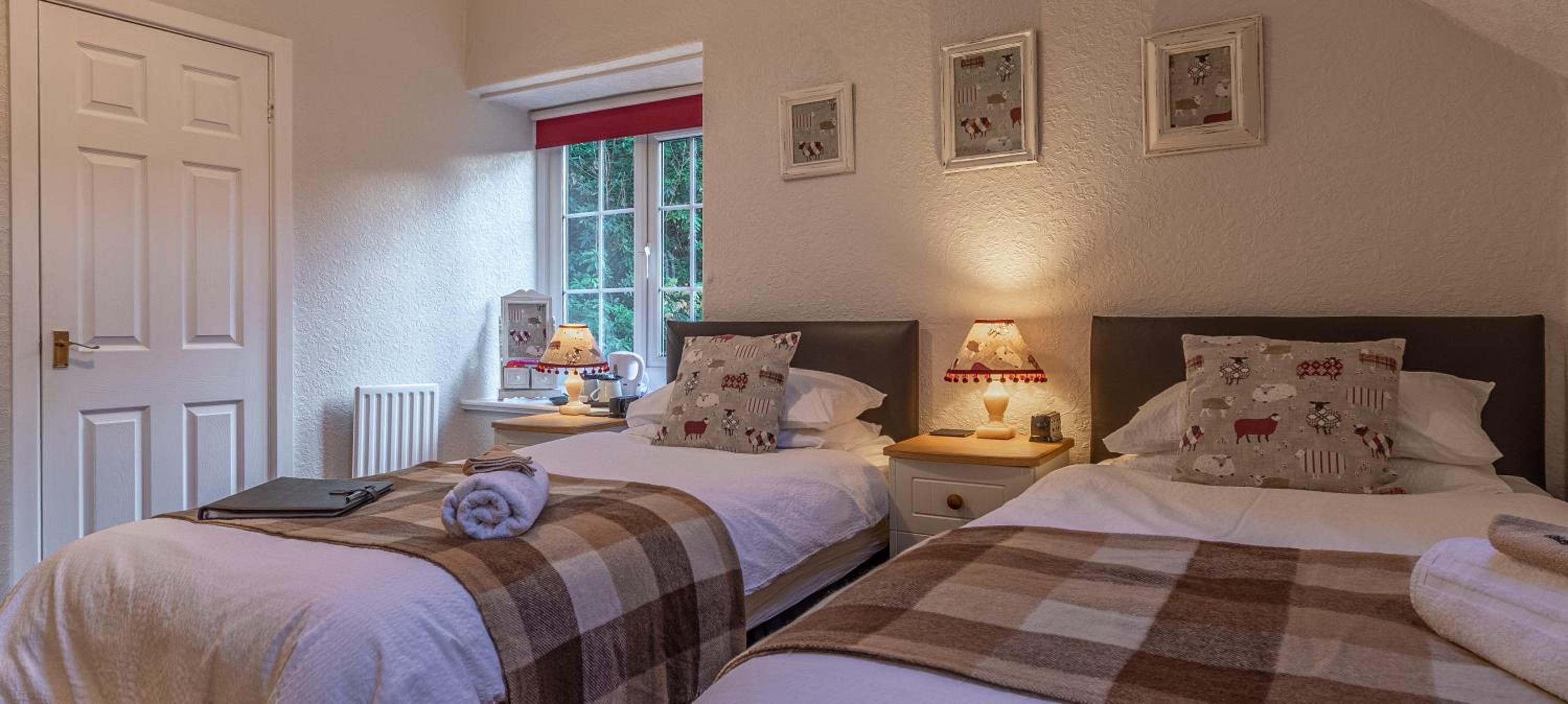 Twin Room photo 1