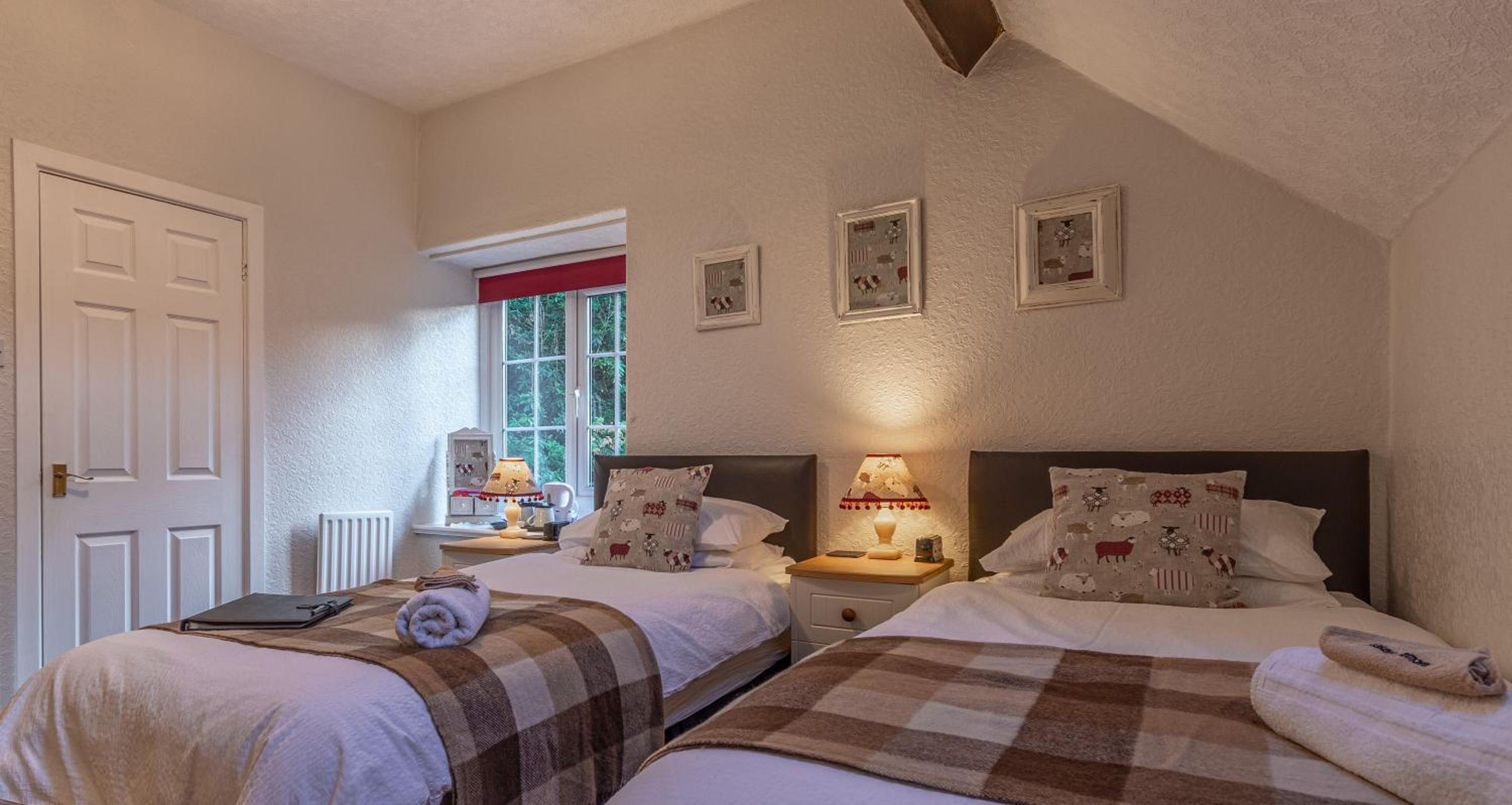 Twin Room photo 3