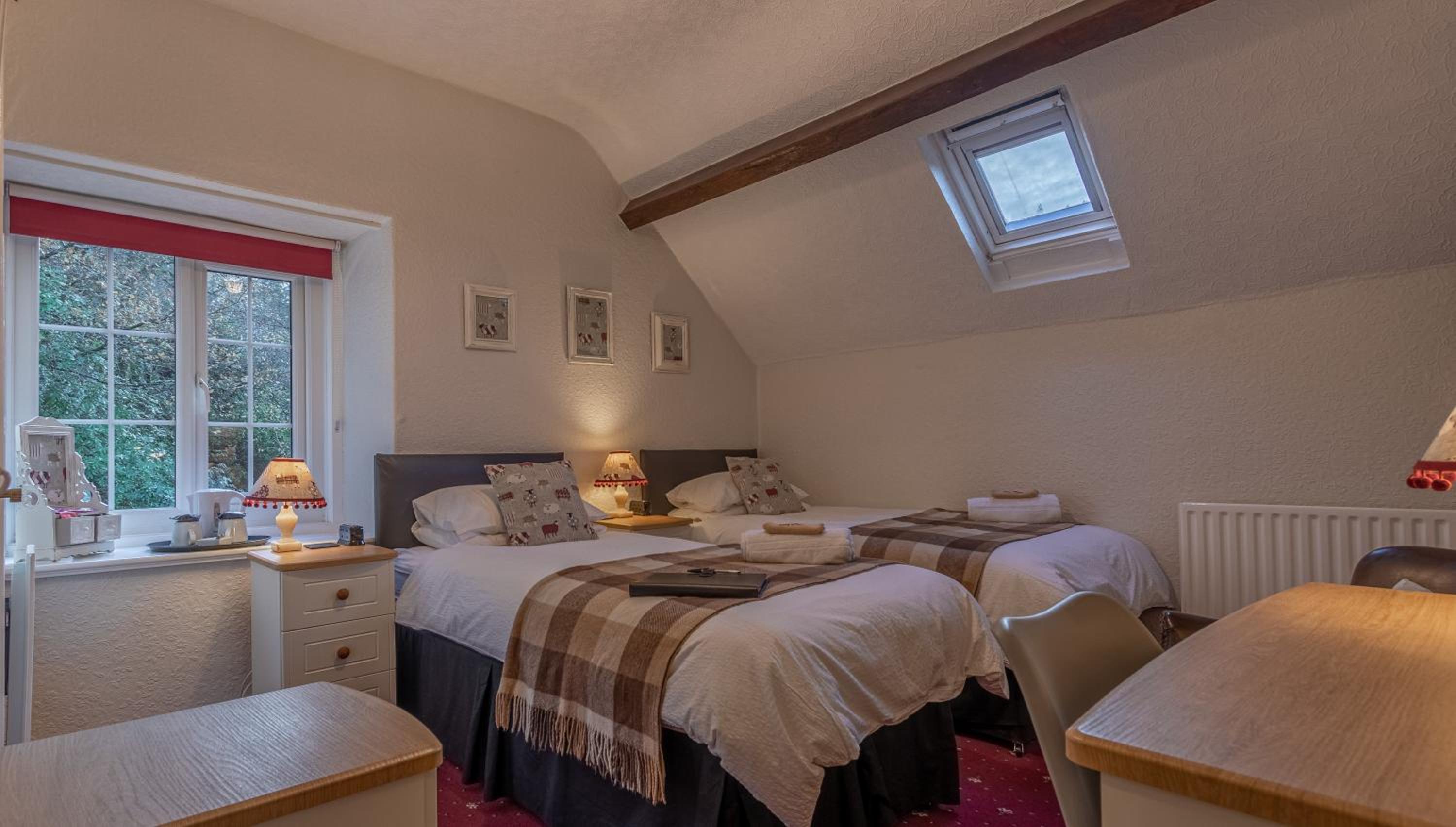 Twin Room photo 2