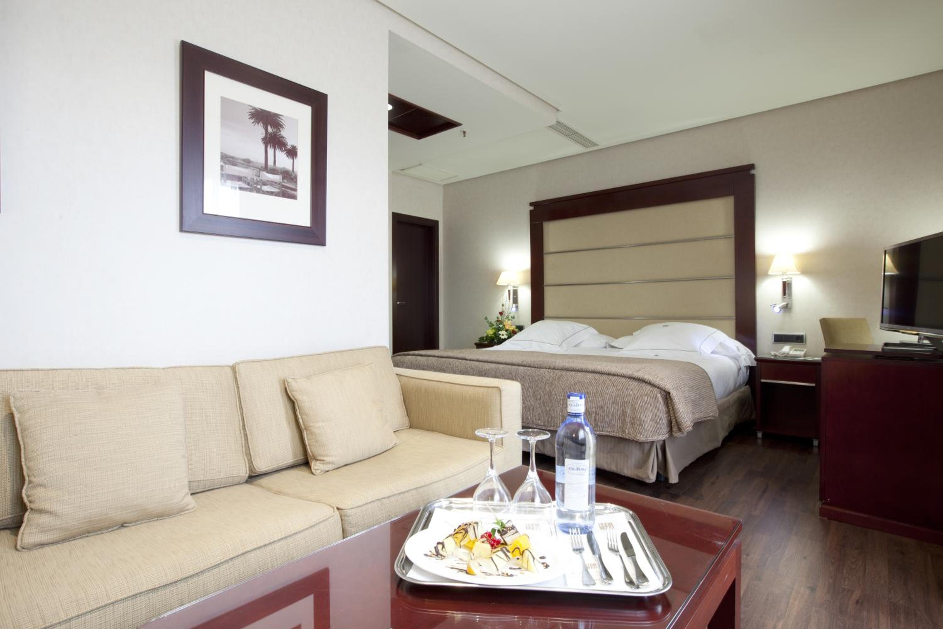 Junior Suite with Terrace