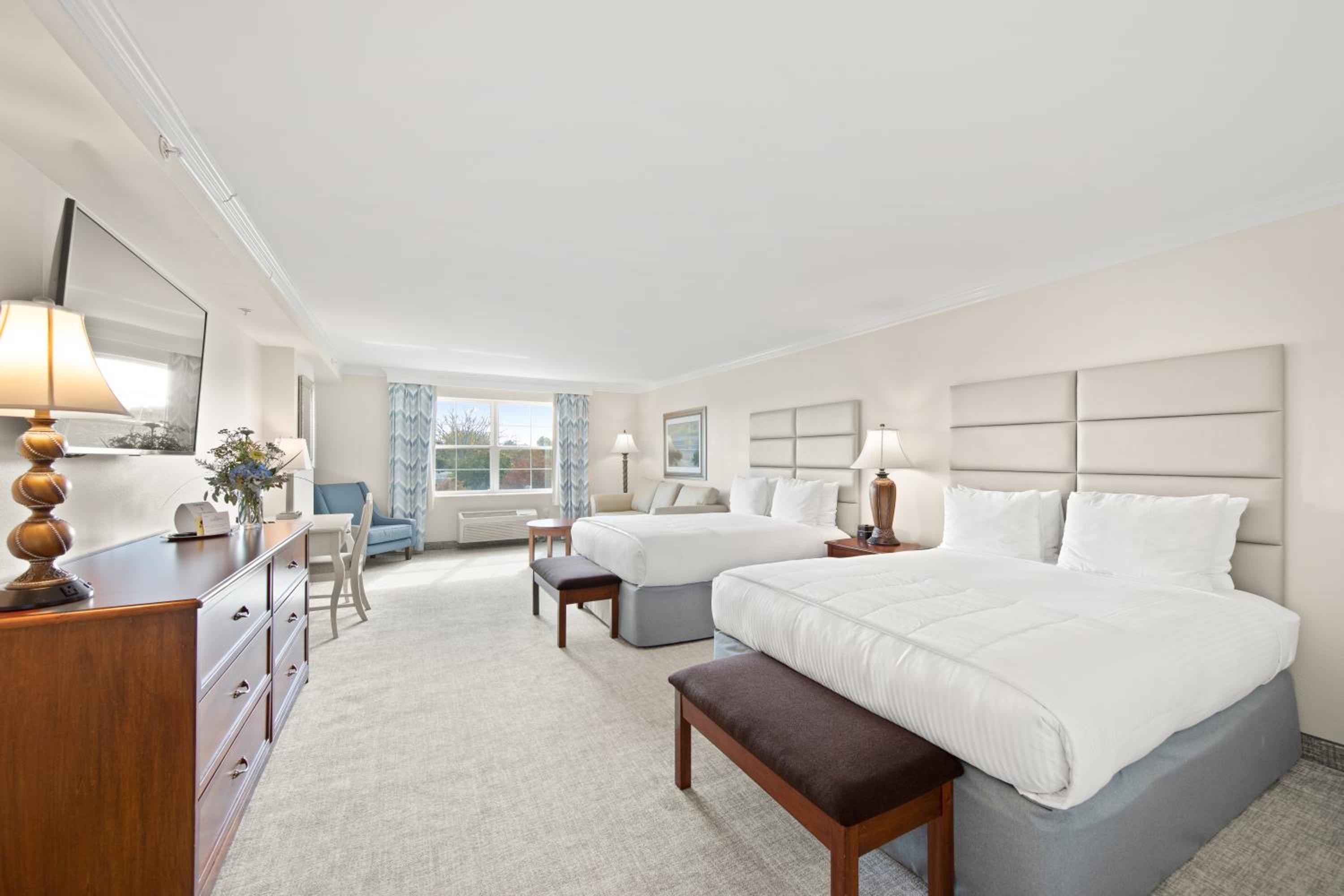 Superior Queen Room