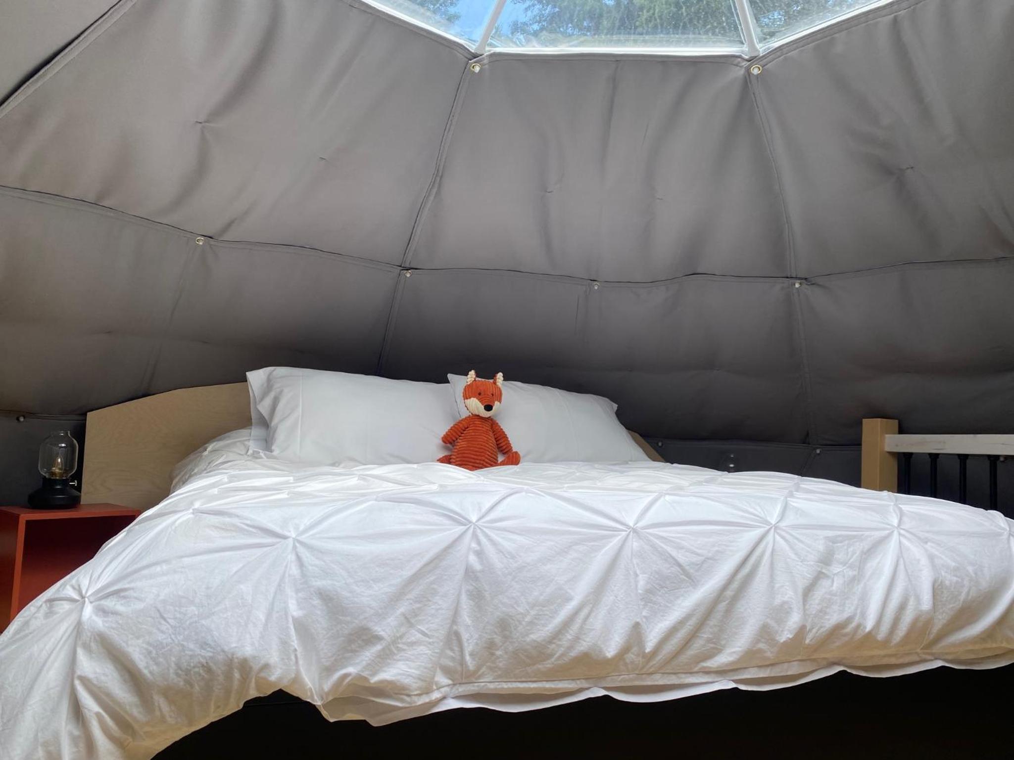 Dome 5 photo 3