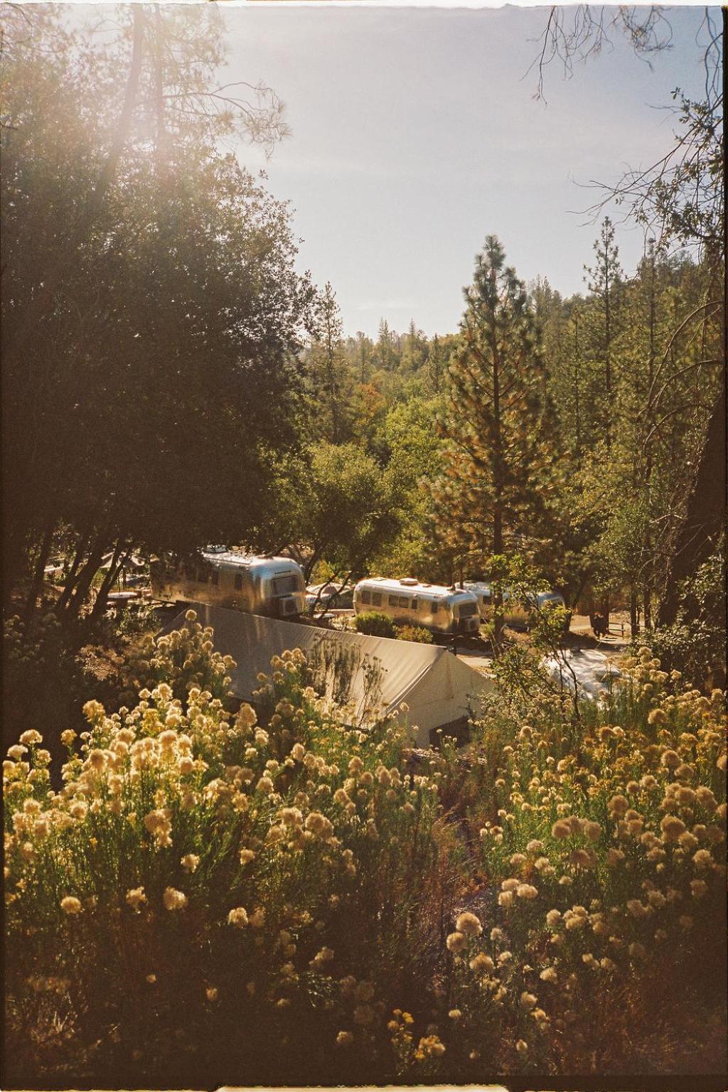 Airstream Suite - Photo 7