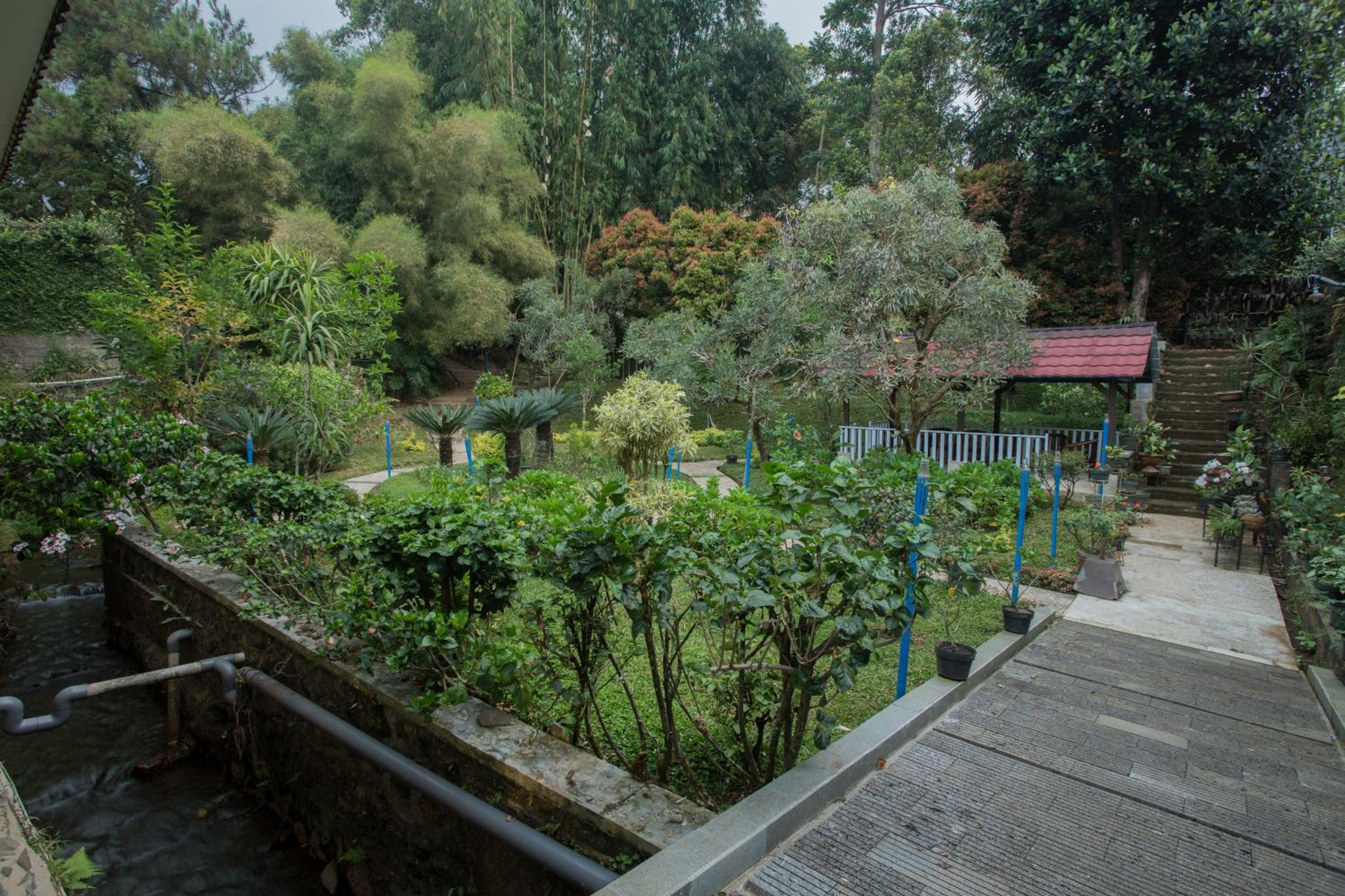 Villa with Private Pool photo 3