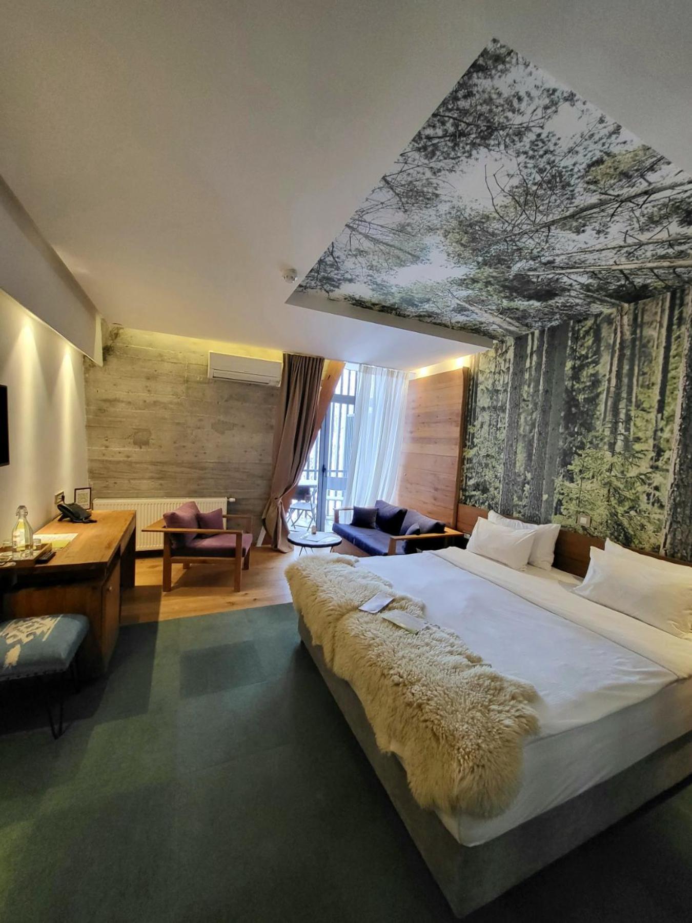 Superior Double or Twin Room photo 3