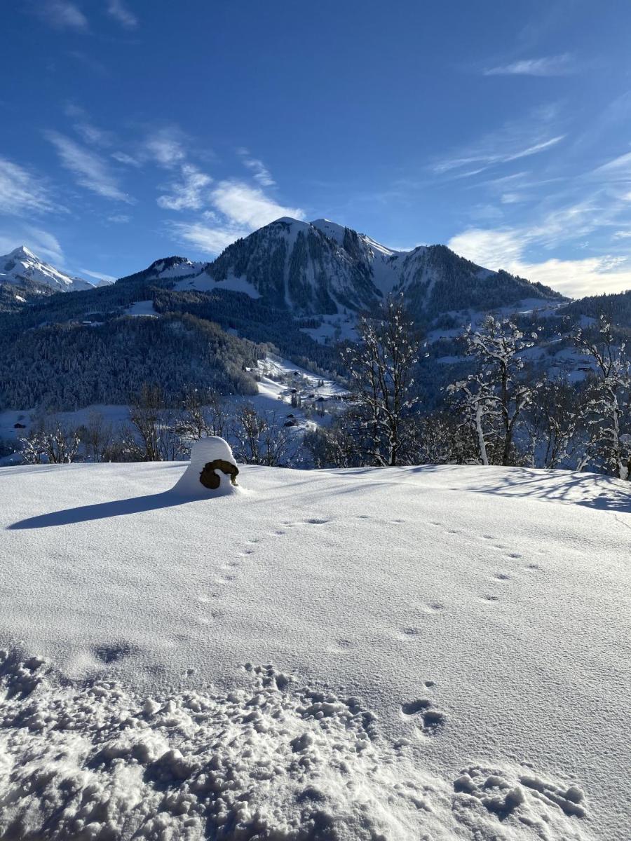 Superior Chalet photo 3