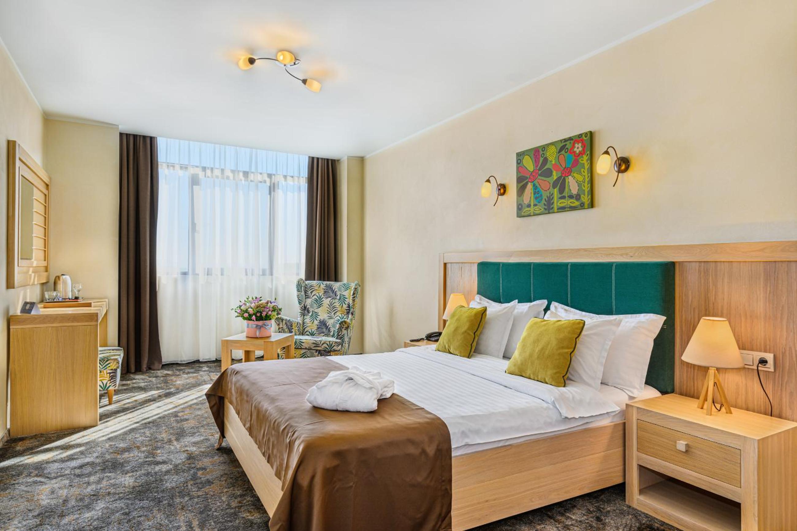 Double Standard Room Danube View with SPA access