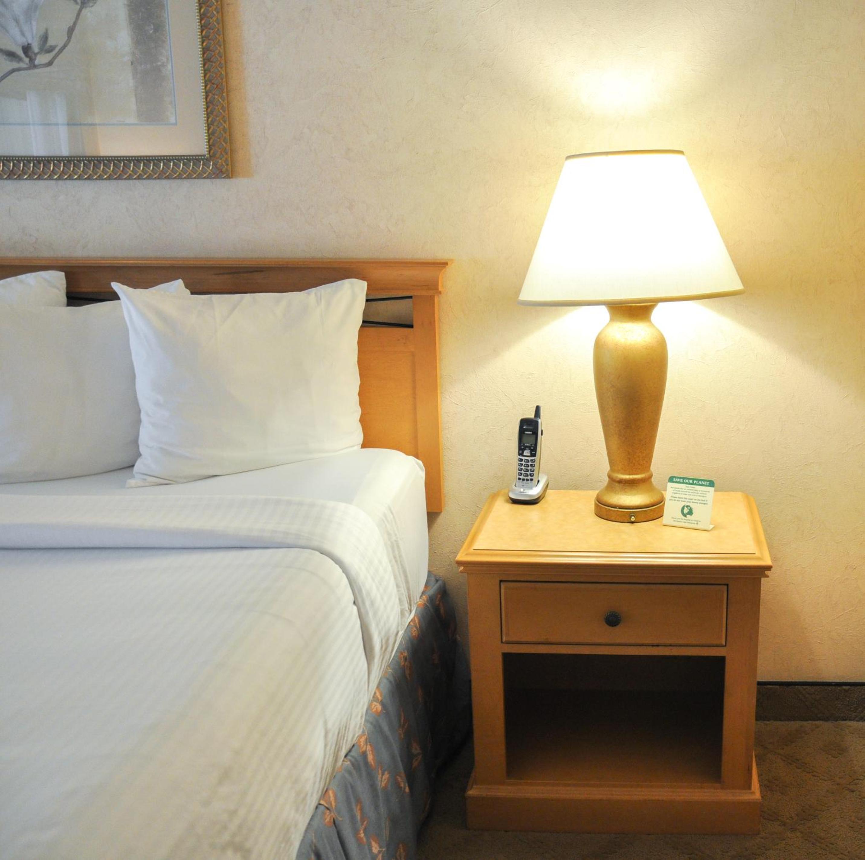 King Room - Photo 2