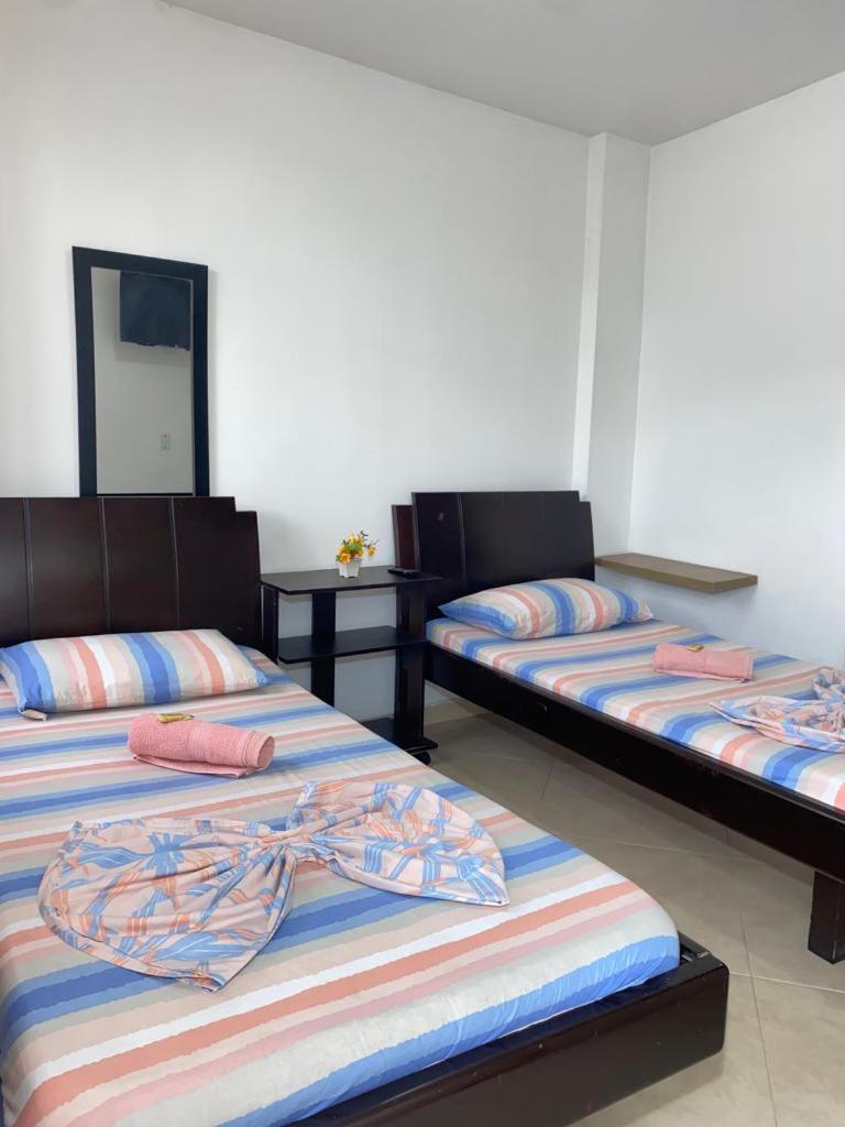 Twin Room photo 1