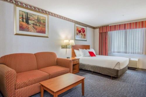 Queen Room With Sofa Bed