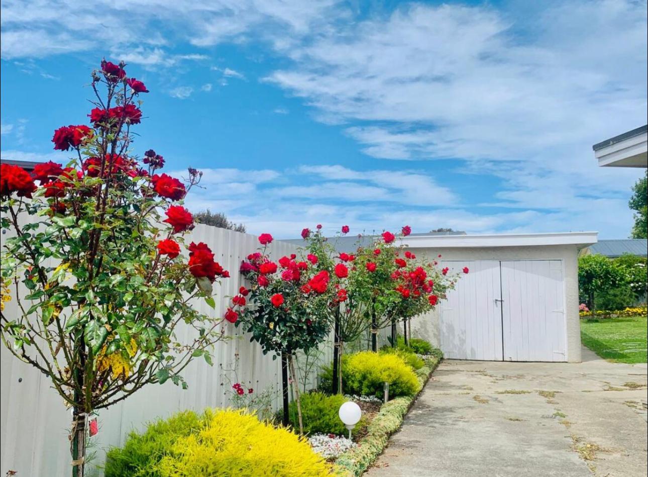 Vacation Home photo 3