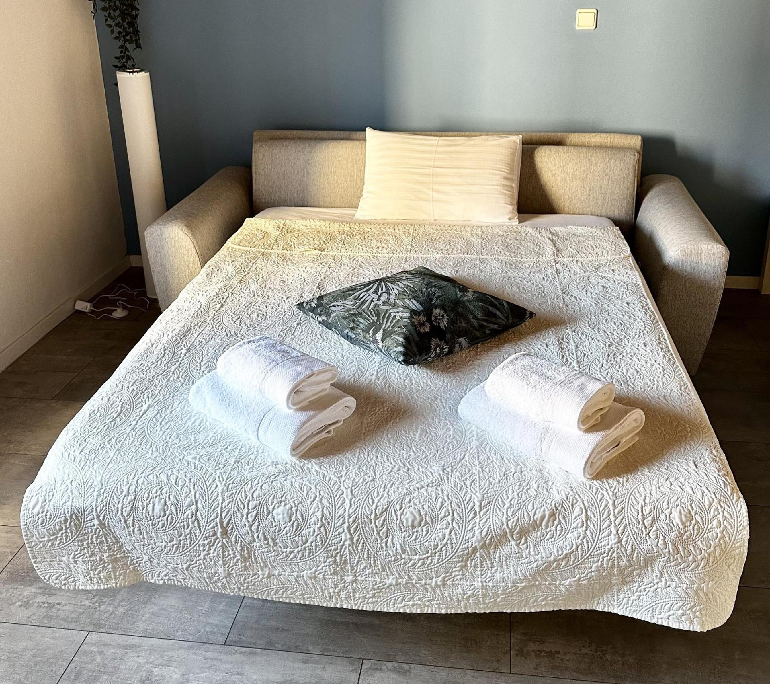 Deluxe Apartment