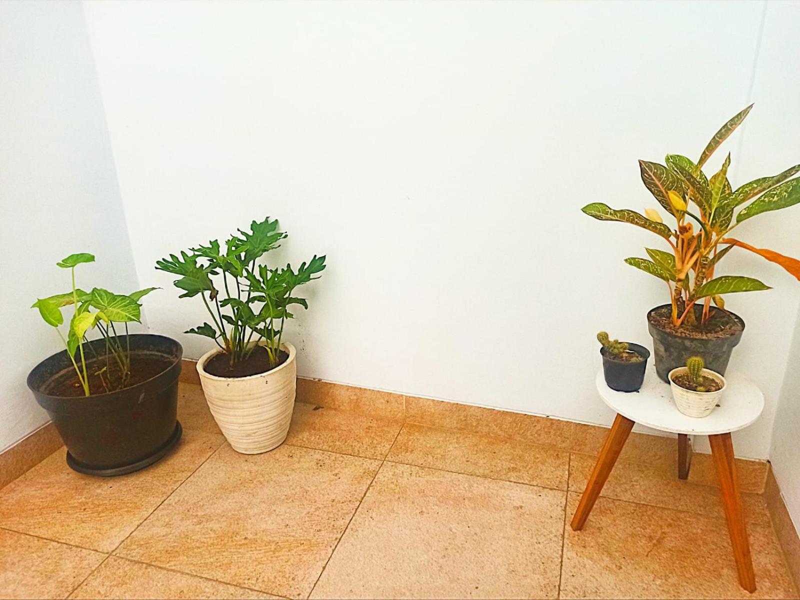 Double Room with Patio photo 2