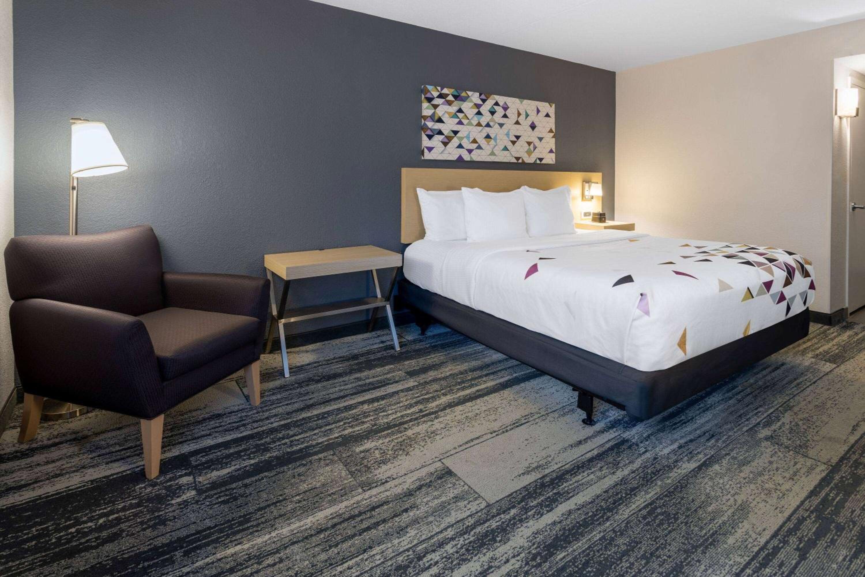 1 King Bed, Mobility and Hearing Accessible Room, Roll-In Shower, Non-Smoking photo 3