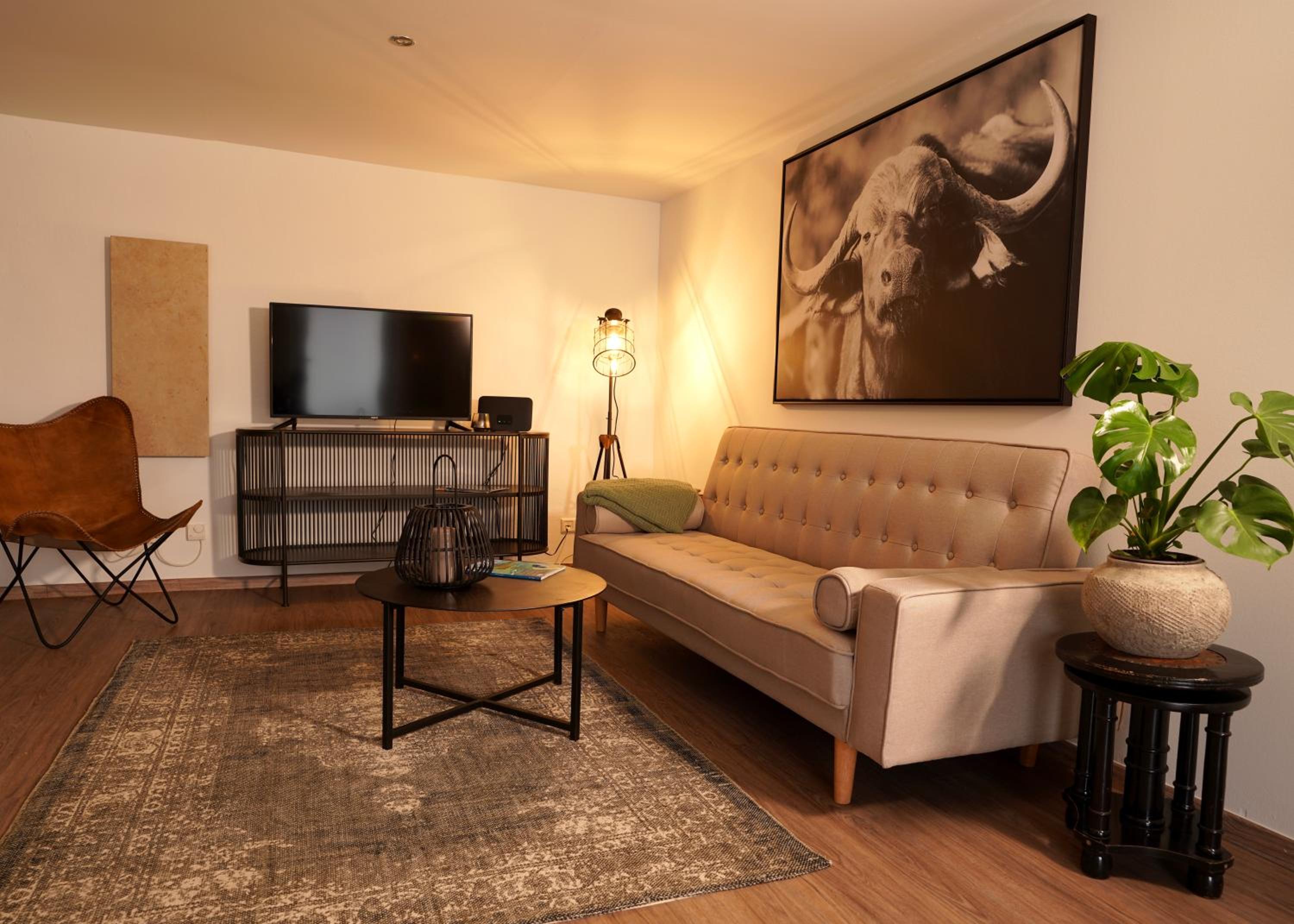 One-Bedroom Apartment photo 1