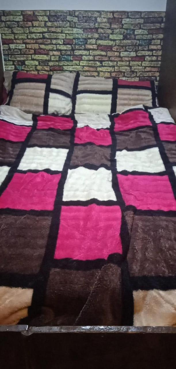 Bunk Bed in Mixed Dormitory Room photo 2