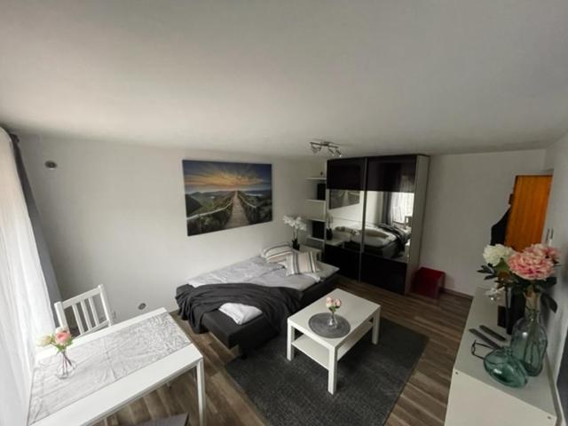 One-Bedroom Apartment photo 3