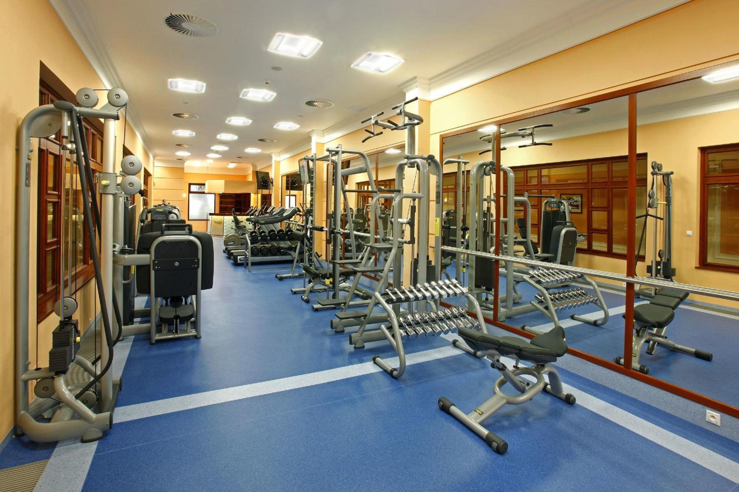 Superior Double or Twin Room with Wellness and Fitness Access - Photo 6