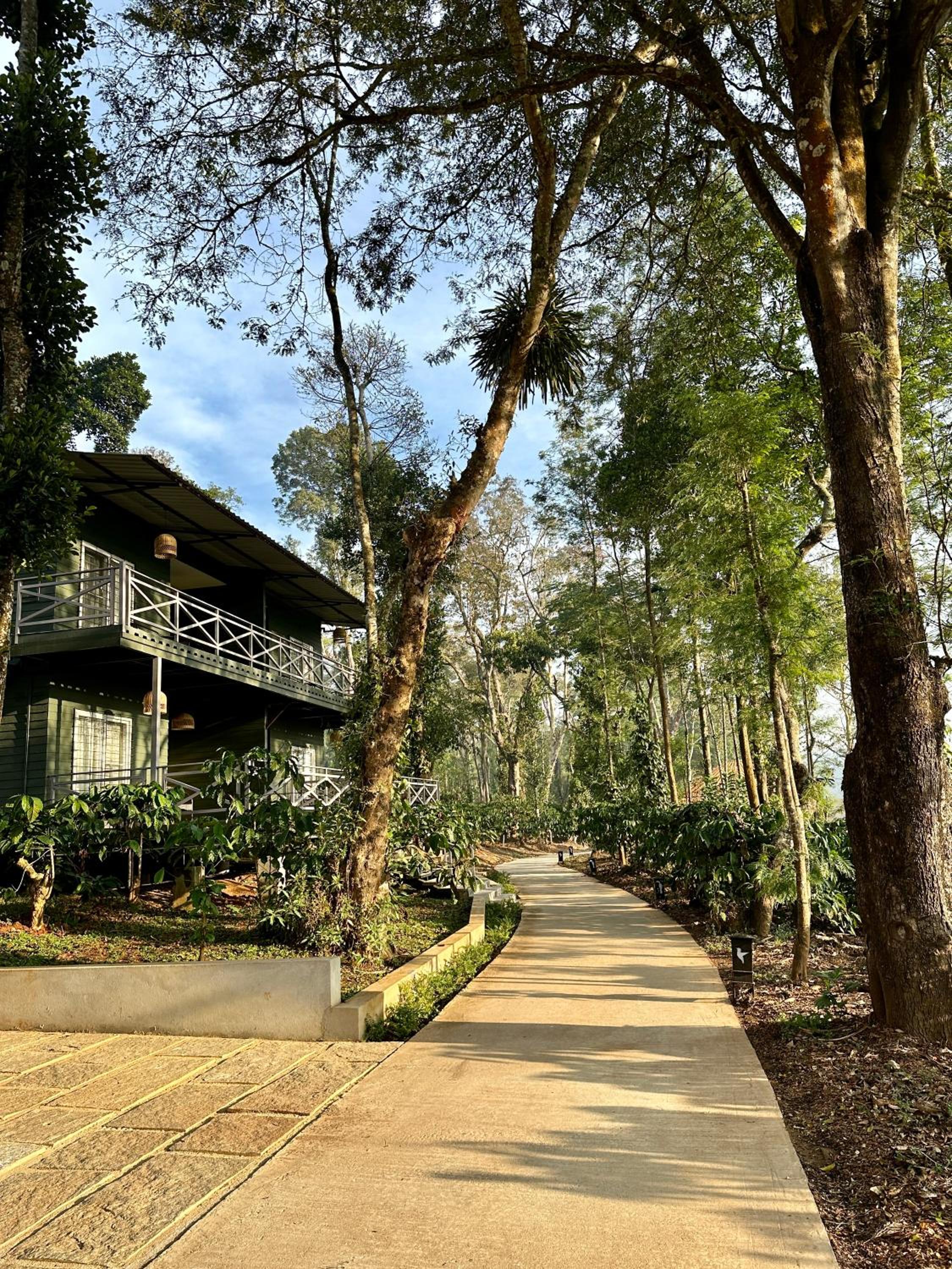 Tamarind Canopy Luxe Cabin - Photo 19